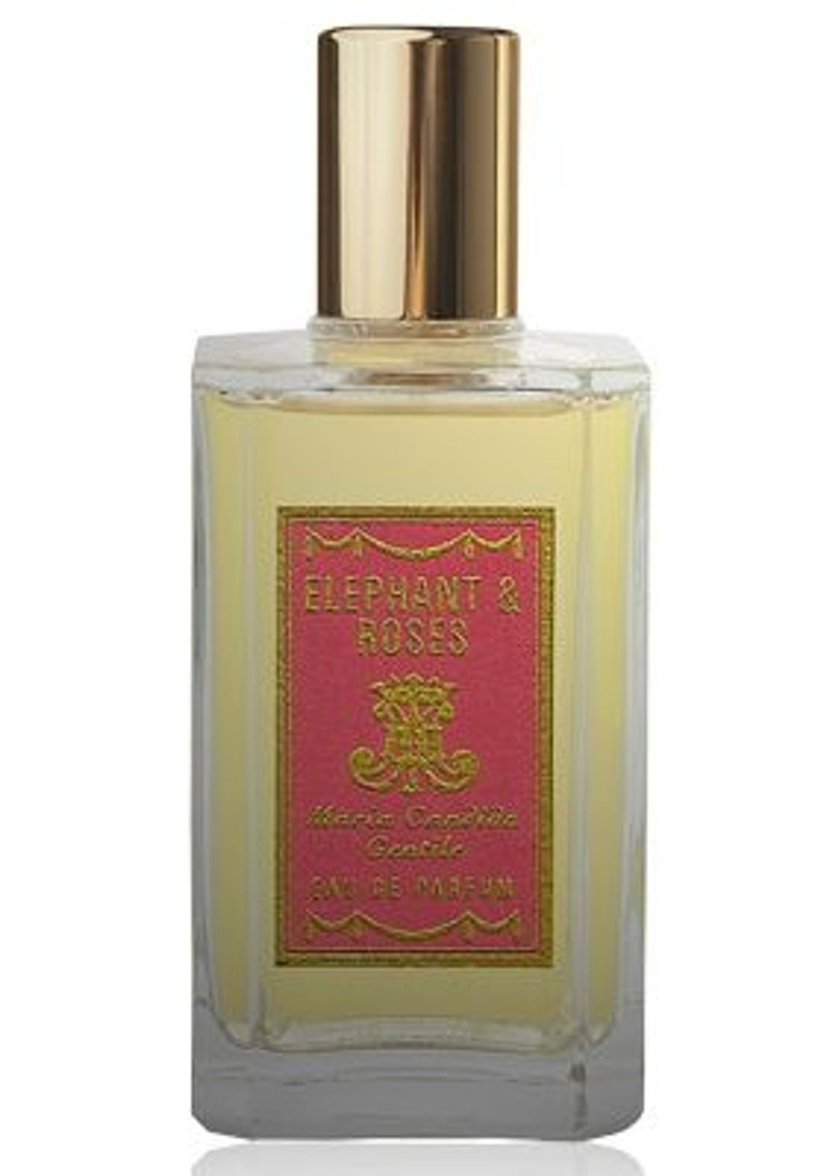 Elephant & Roses