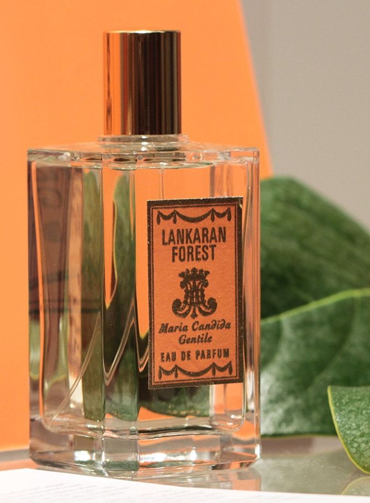 Lankaran Forest