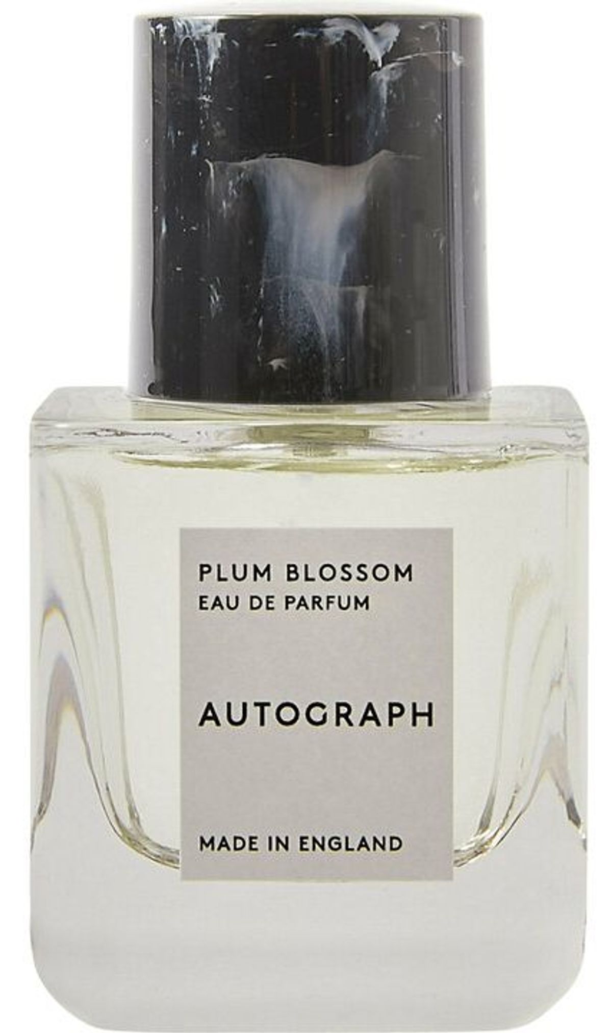 Autograph Plum Blossom