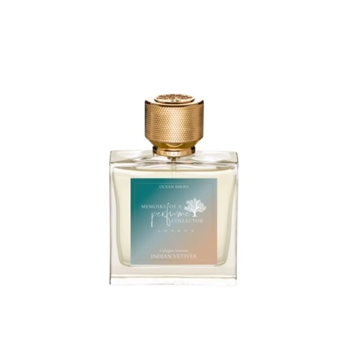 Indian Vetiver