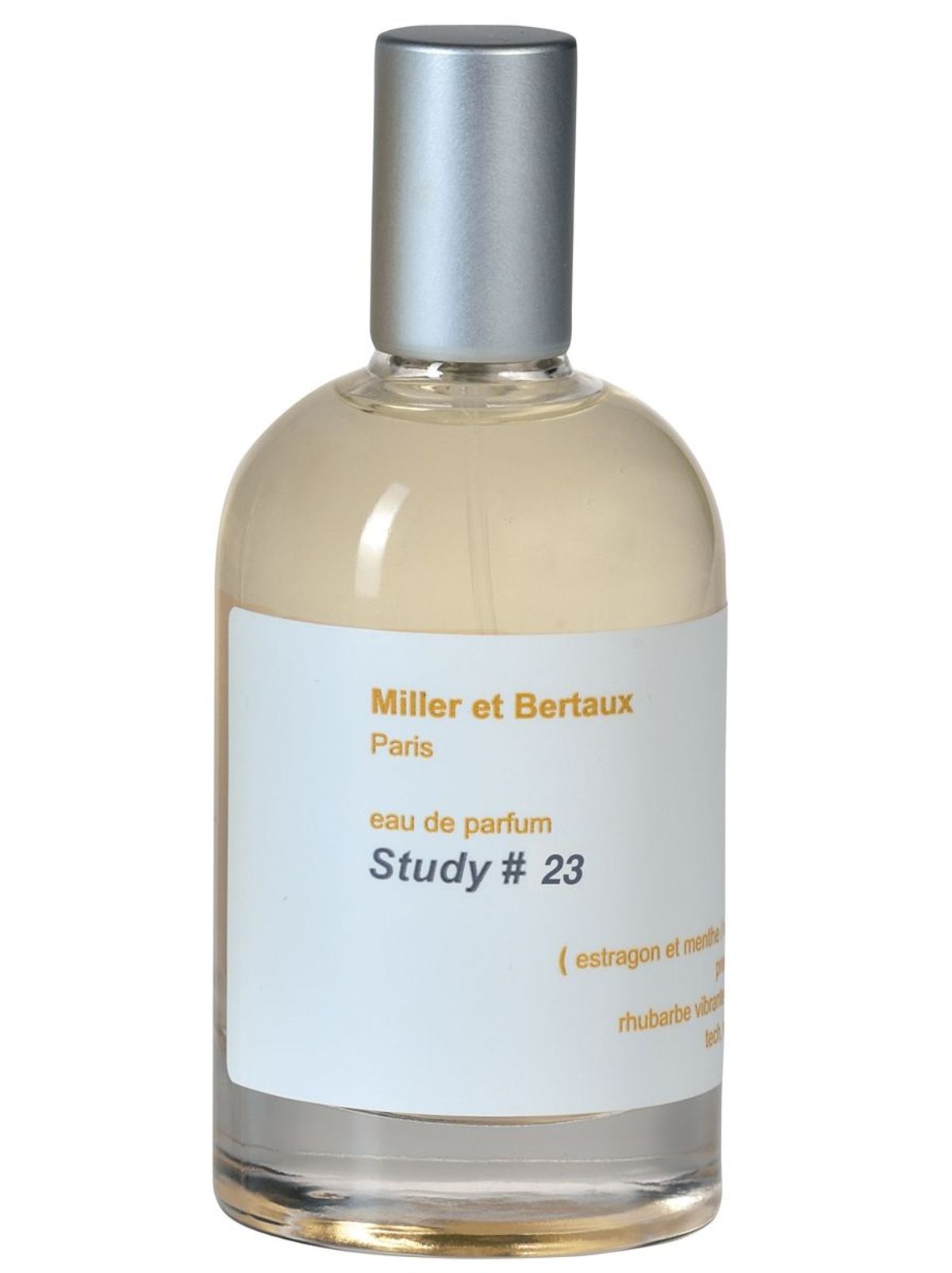Study No. 23 / Newsletter