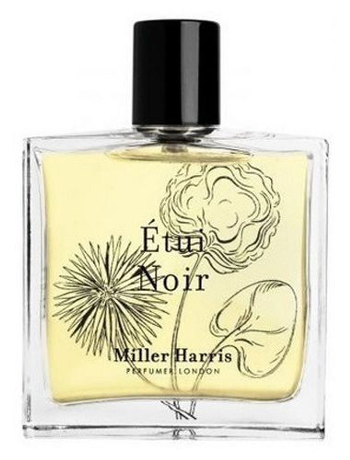 Étui Noir