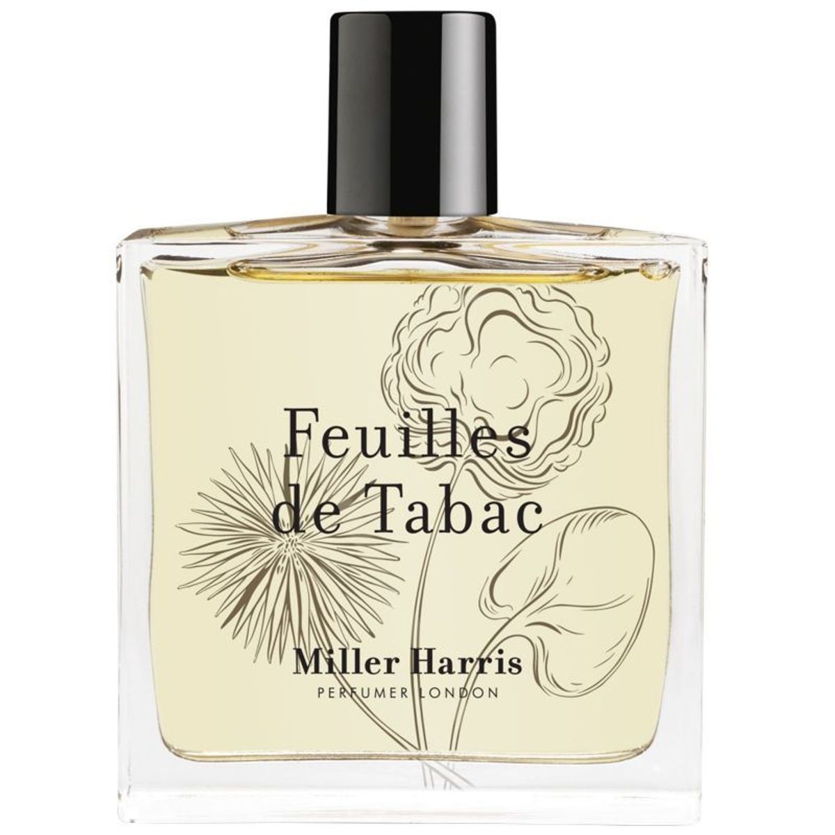 Feuilles de Tabac