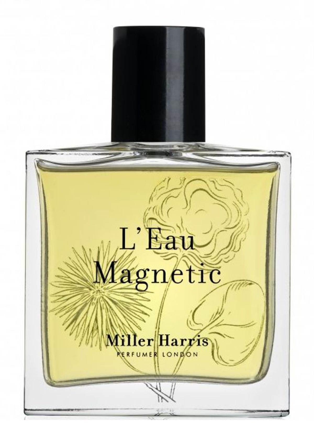 L'Eau Magnetic