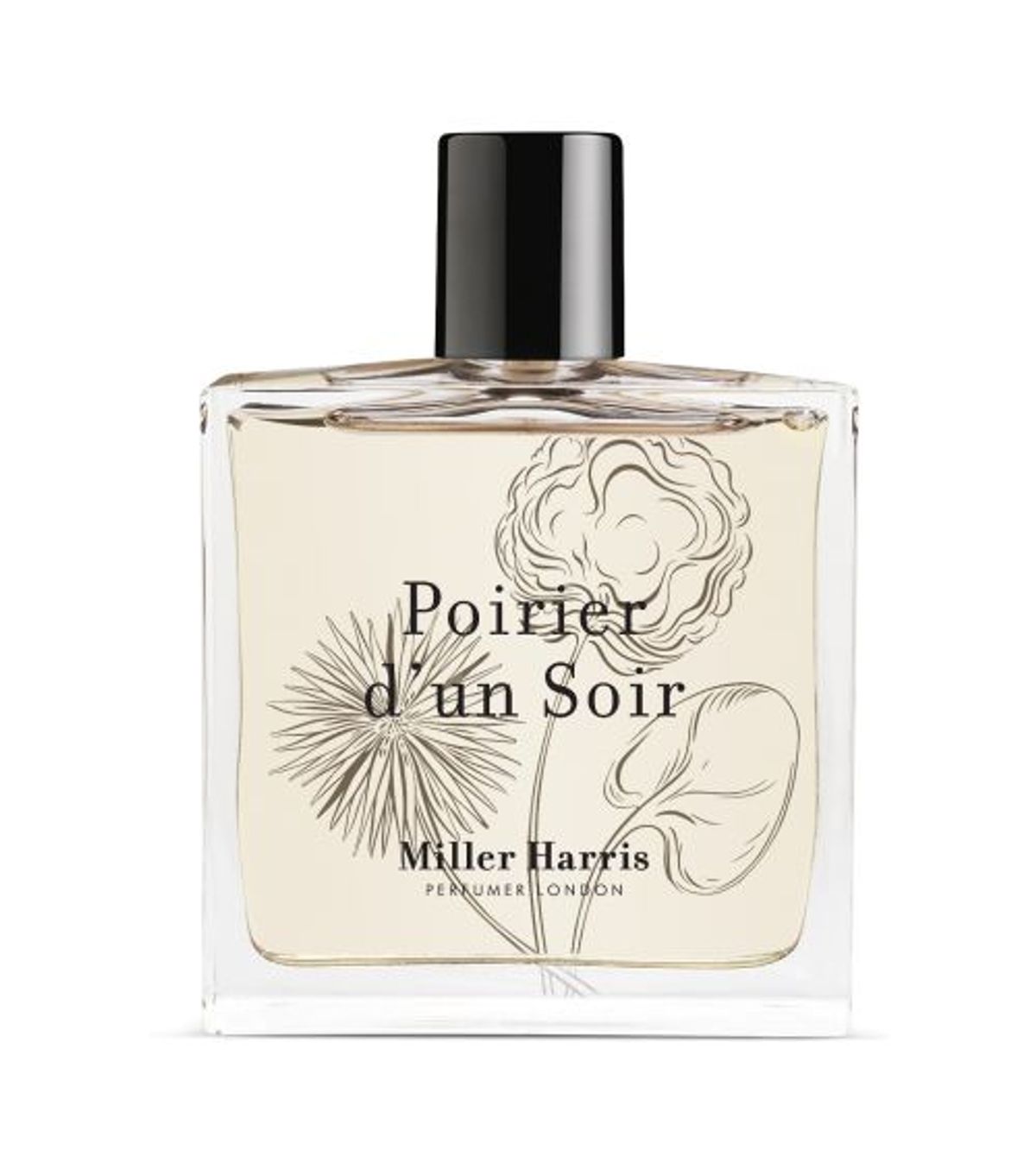 Poirier d'un Soir