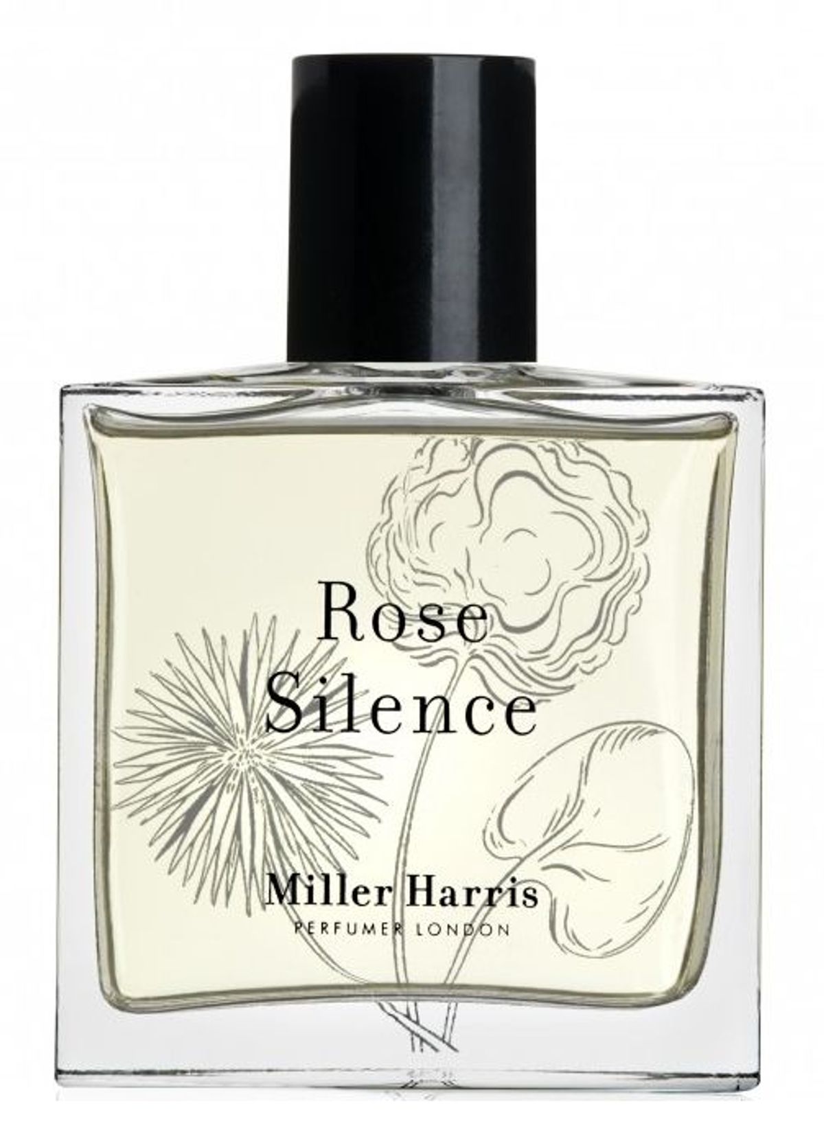 Rose Silence