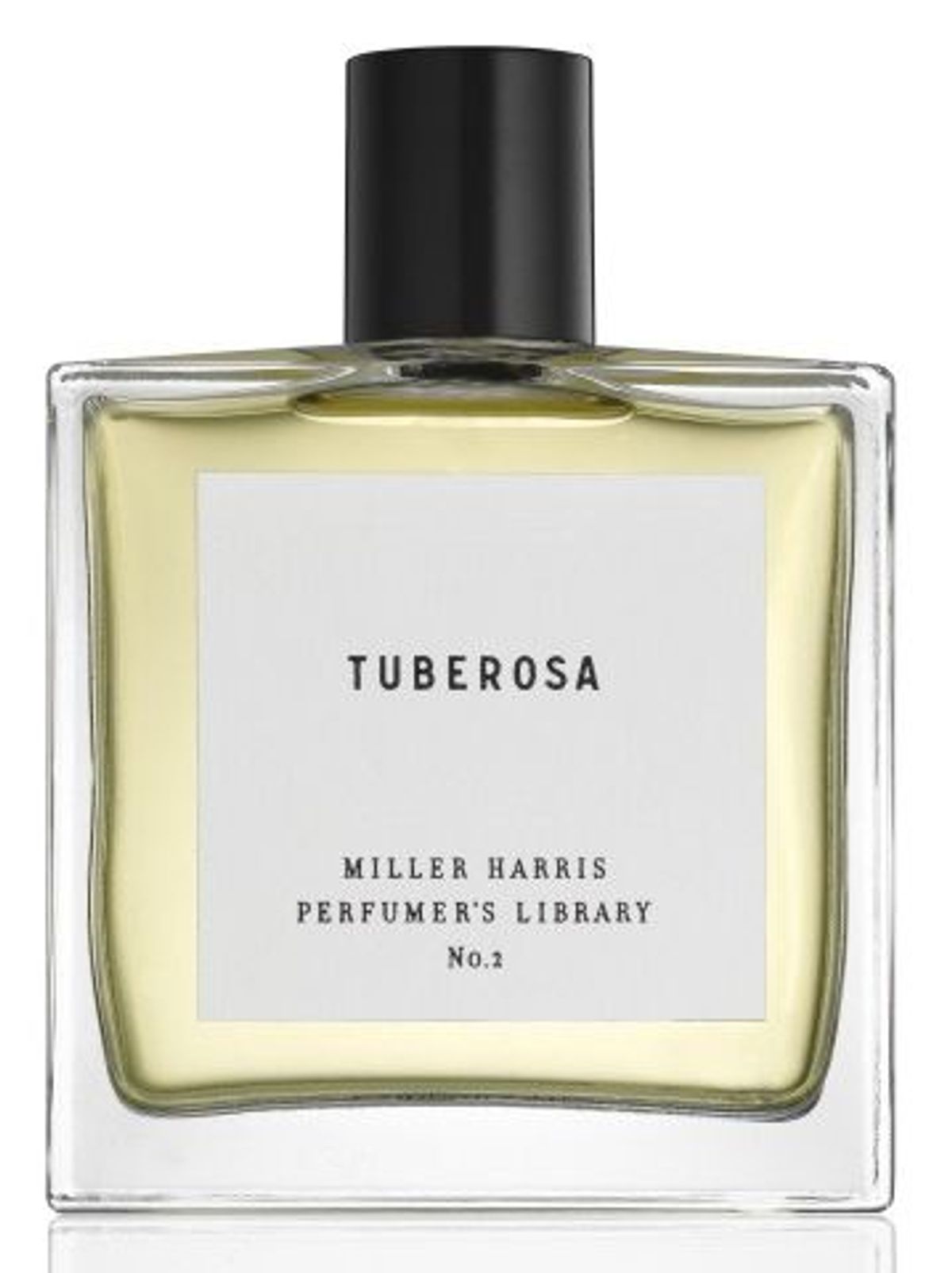 Tuberosa