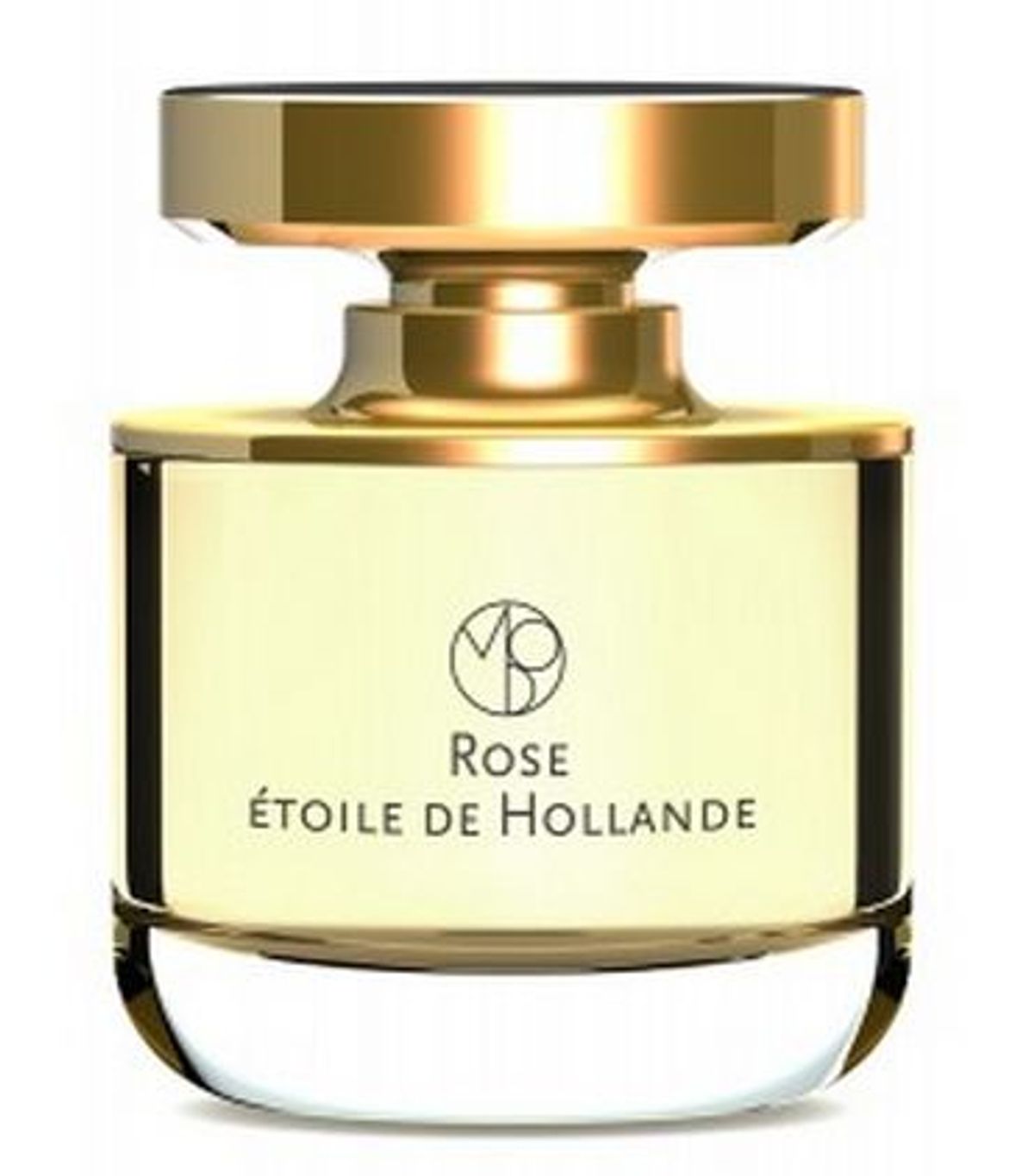 Rose Etoile de Hollande