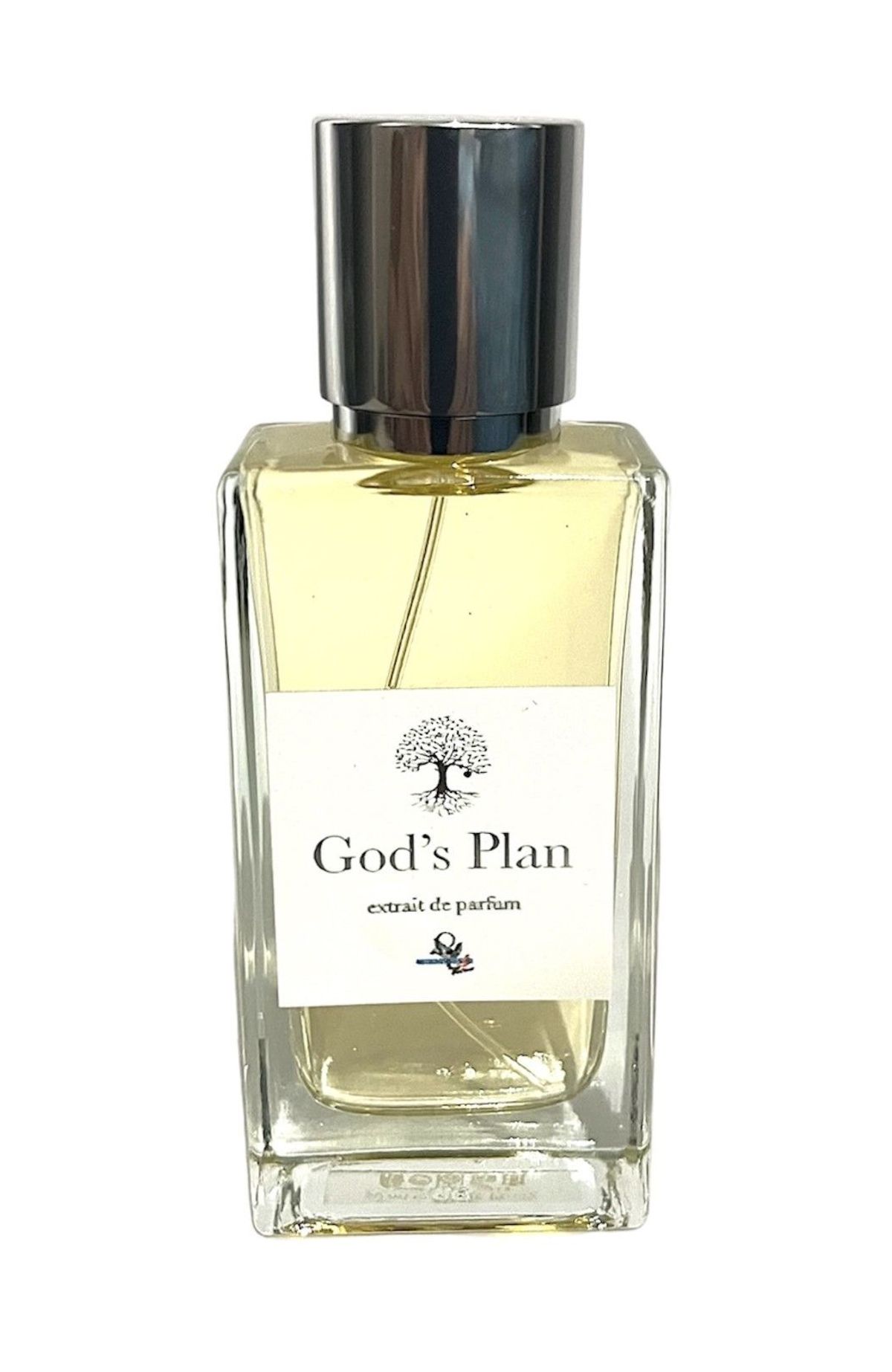 God's Plan