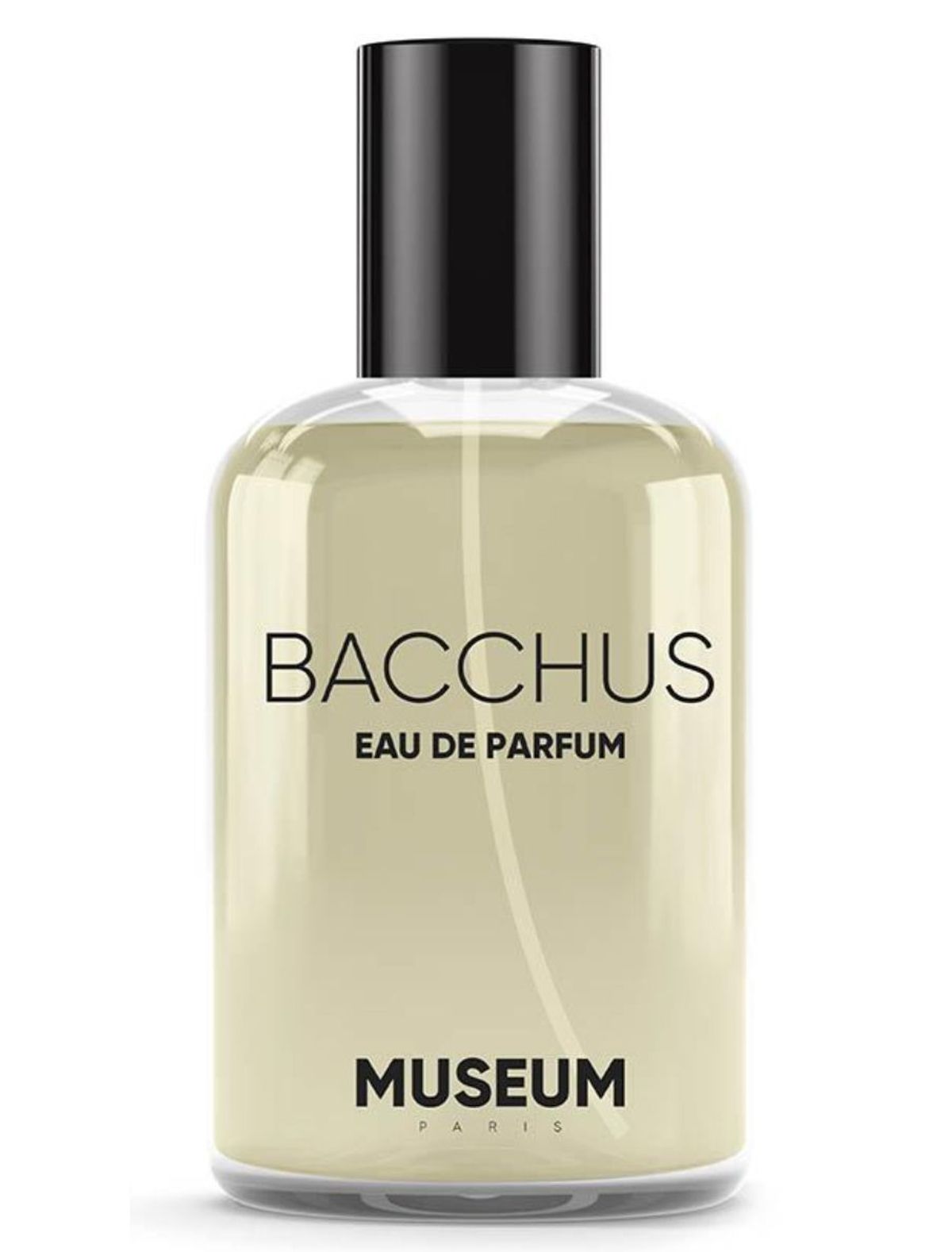 Museum Bacchus