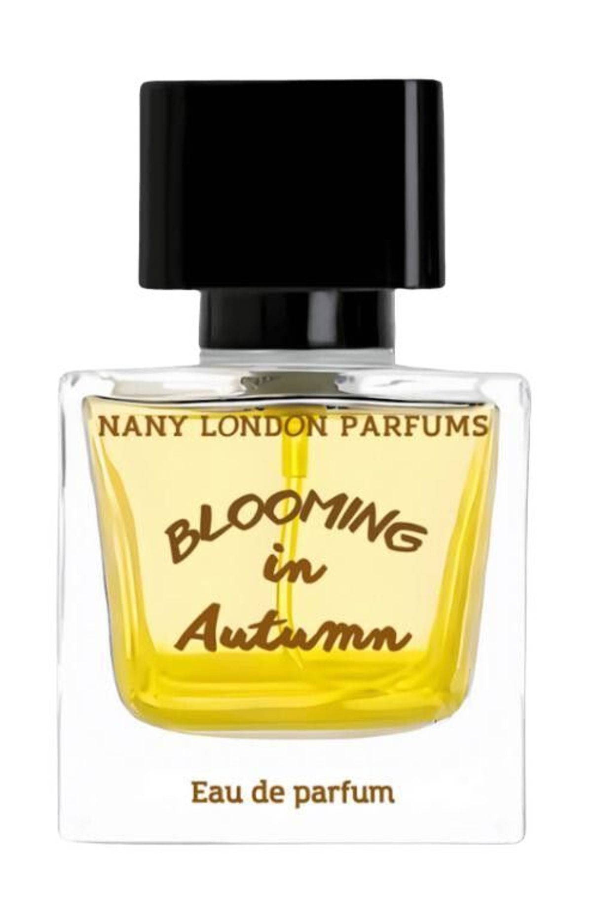 Blooming in Autumn