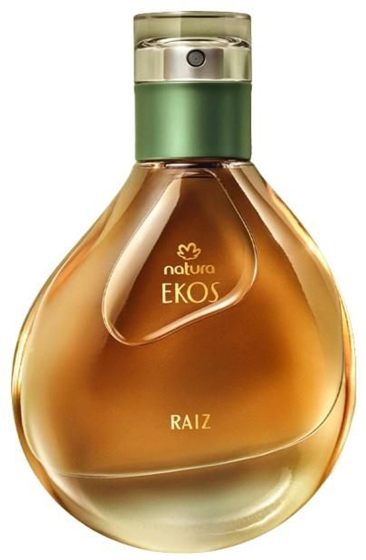 Ekos Raiz