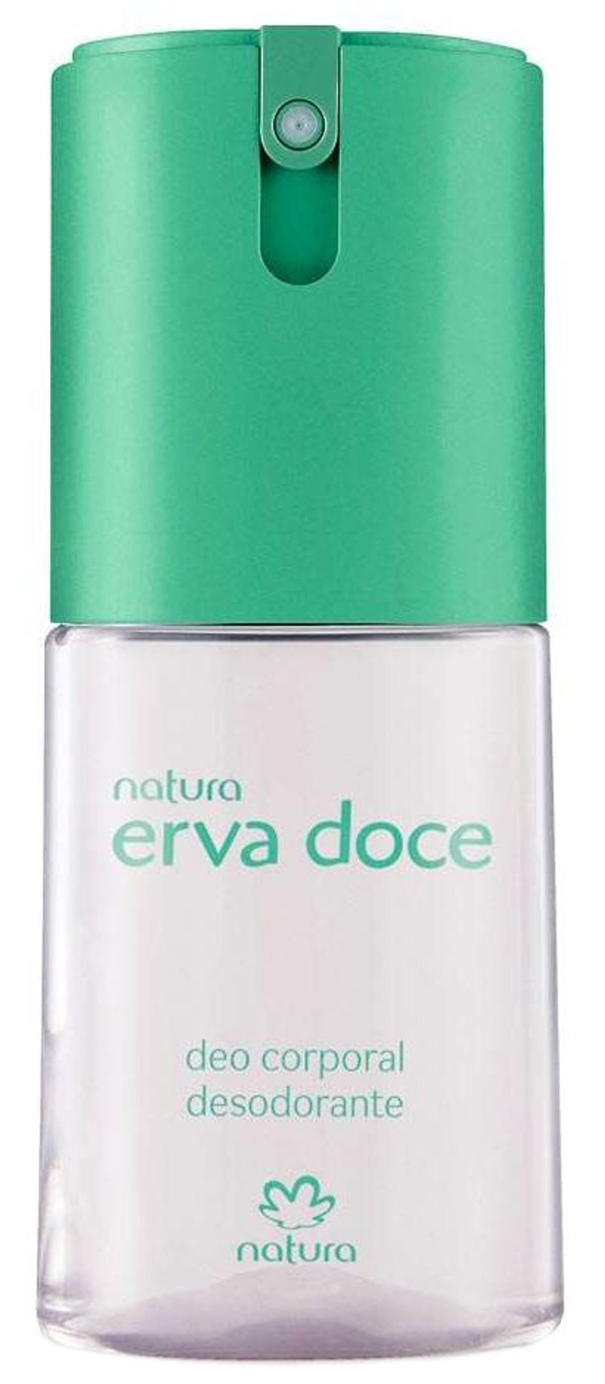 Erva Doce