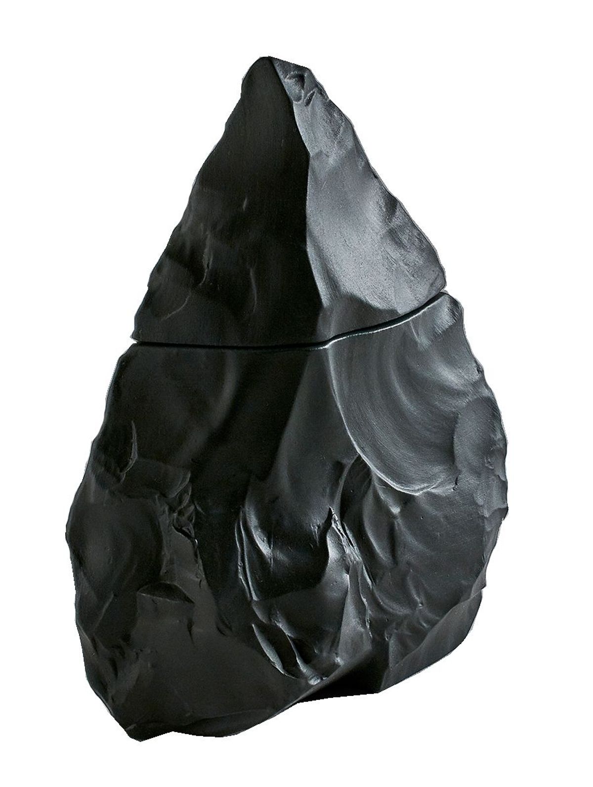 Neandertal Dark 2015