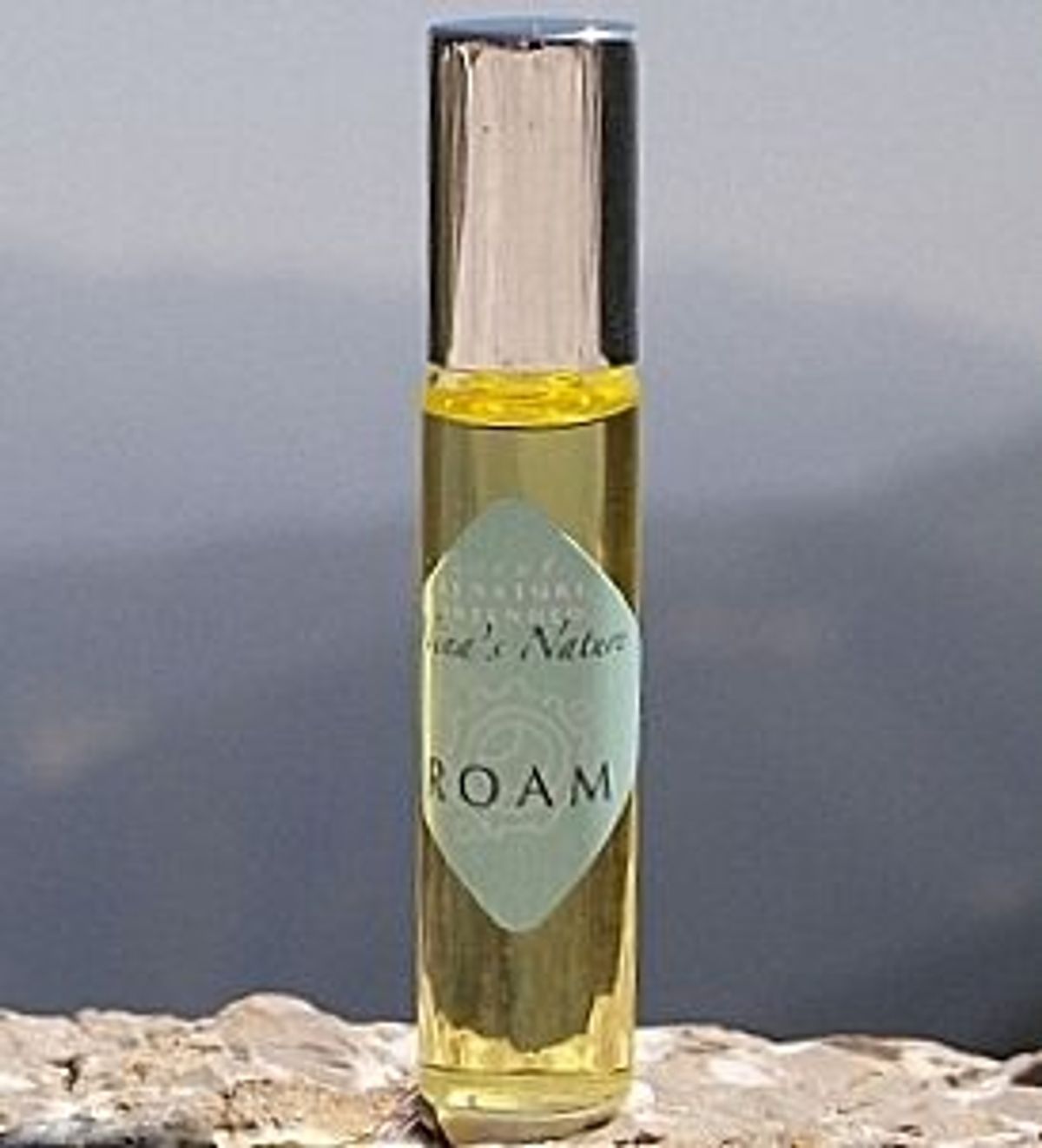 Roam