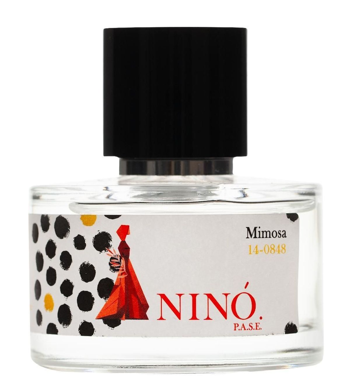 Mimosa