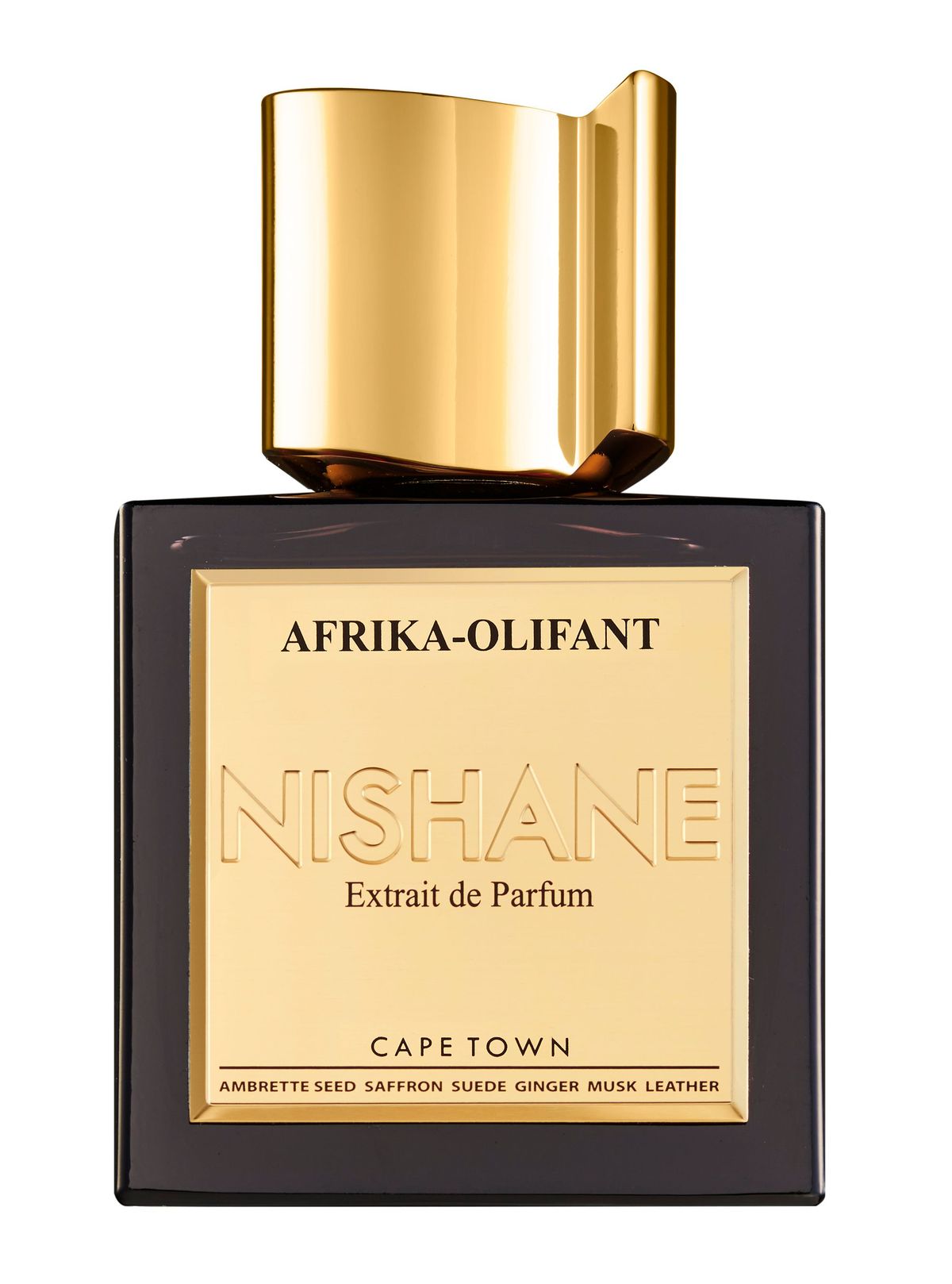 Afrika Olifant
