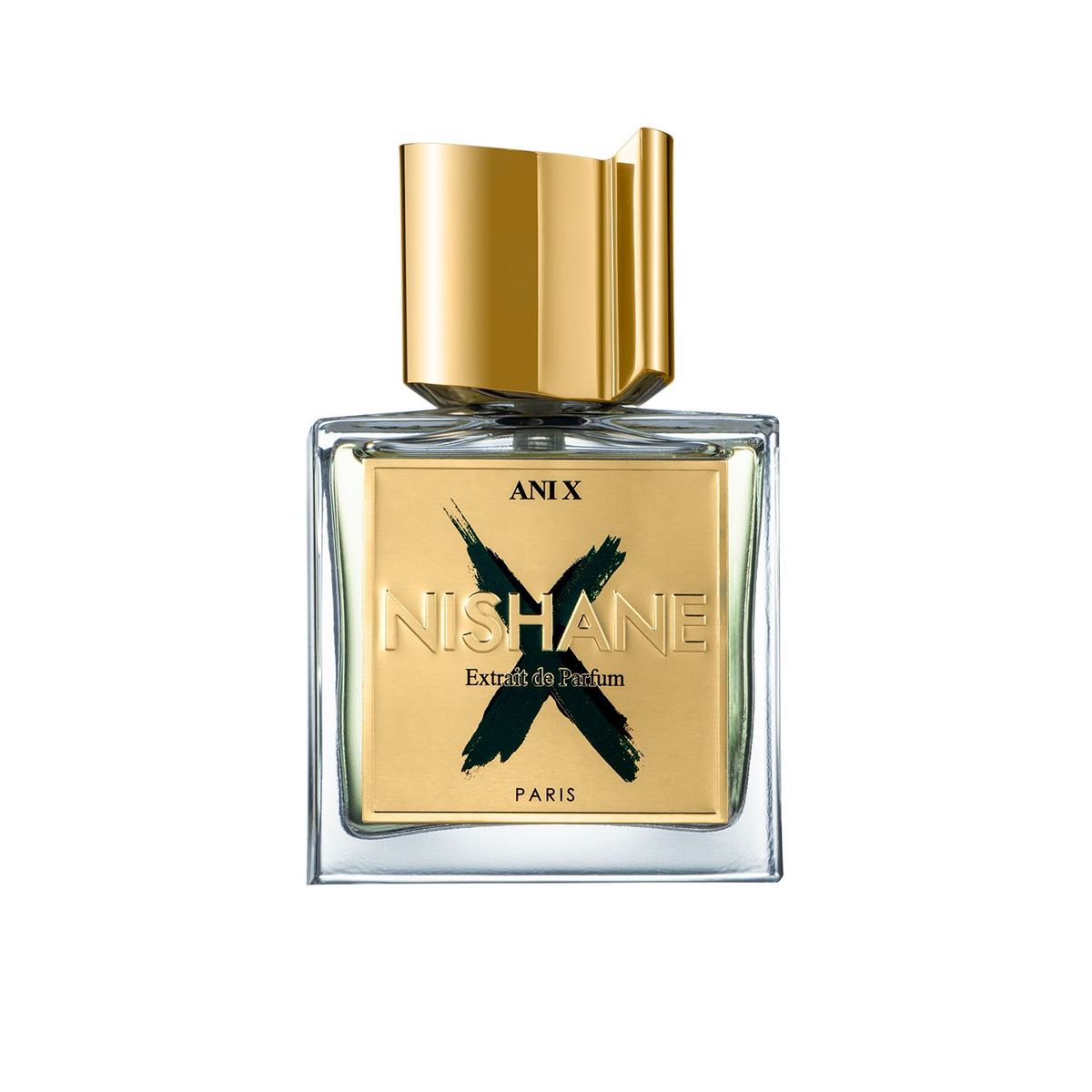 Ani X