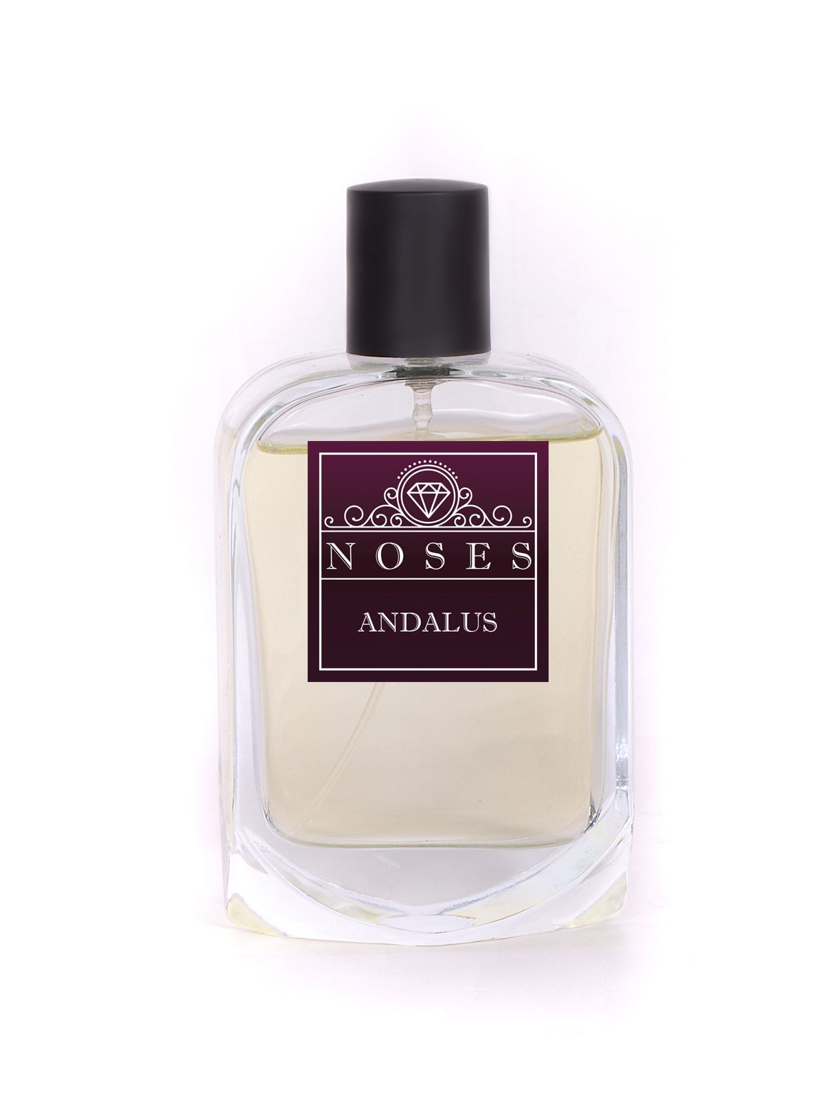 ANDALUS