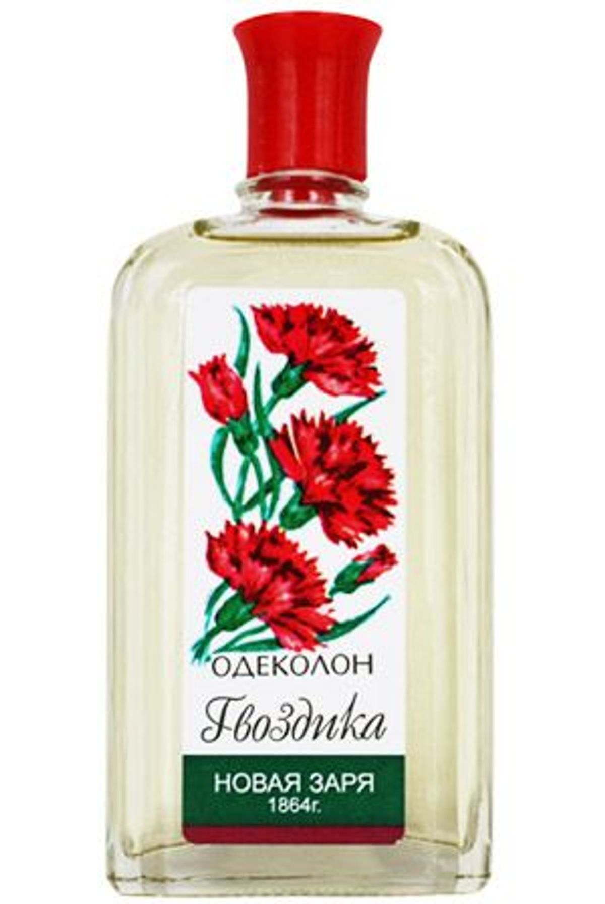 Гвоздика (Carnation)
