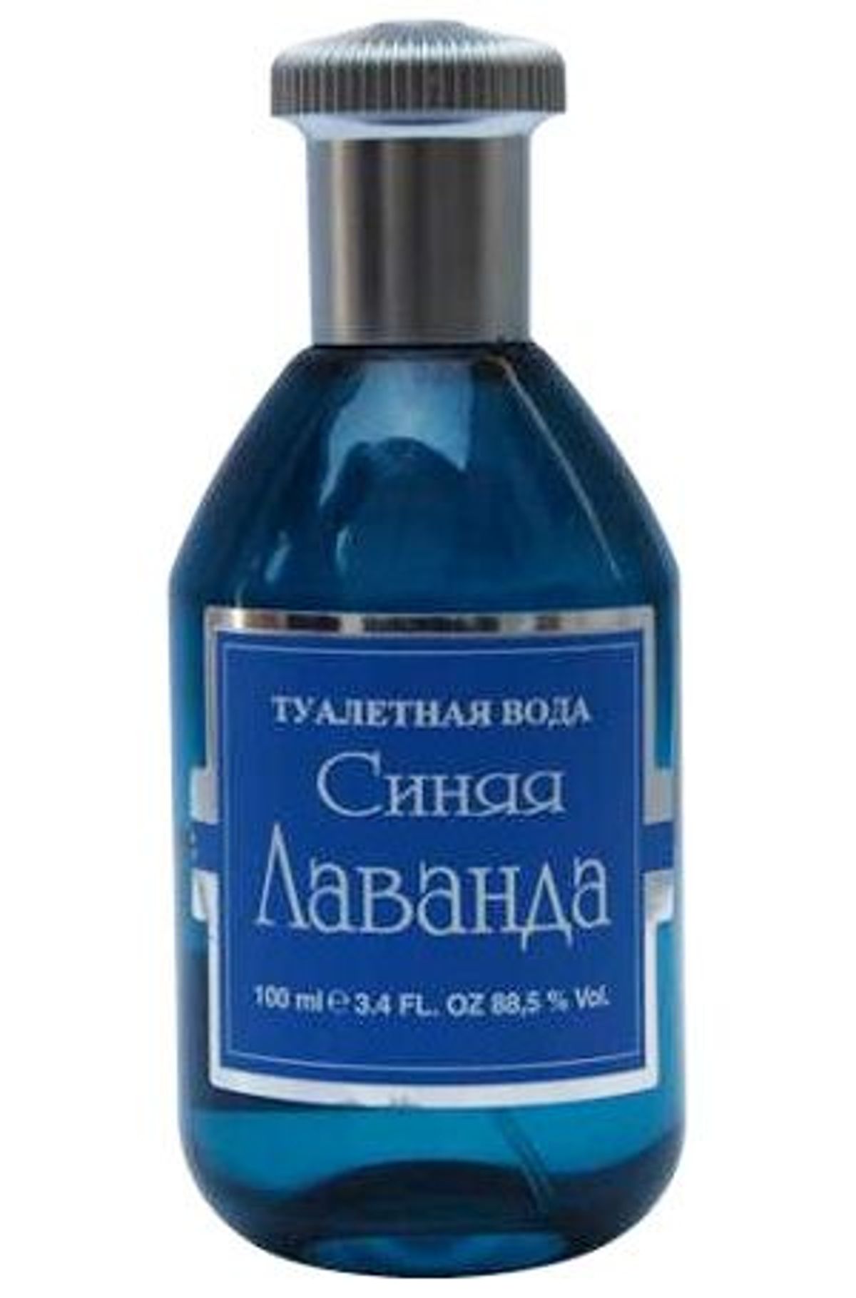 Синяя лаванда (Blue Lavender)