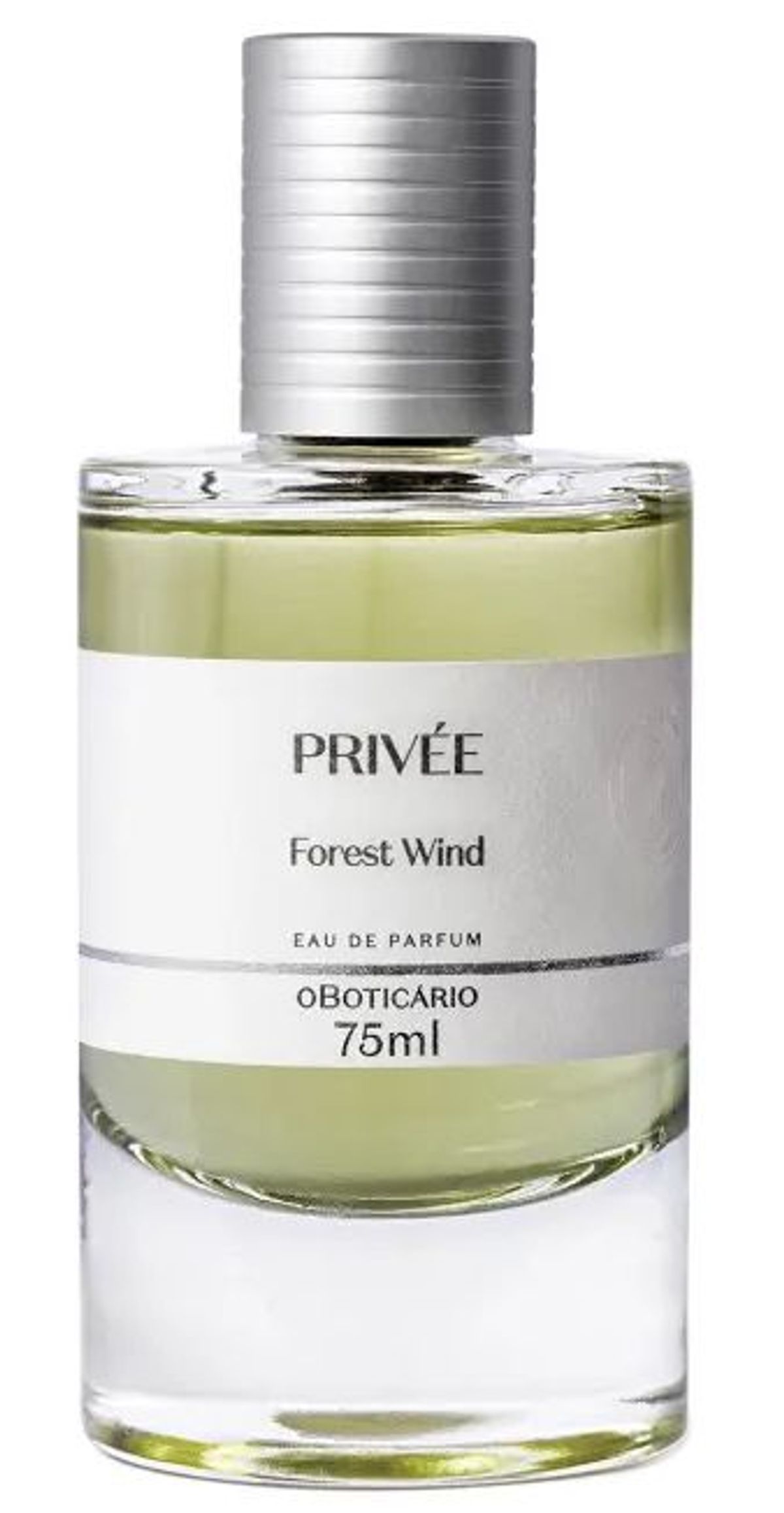Forest Wind