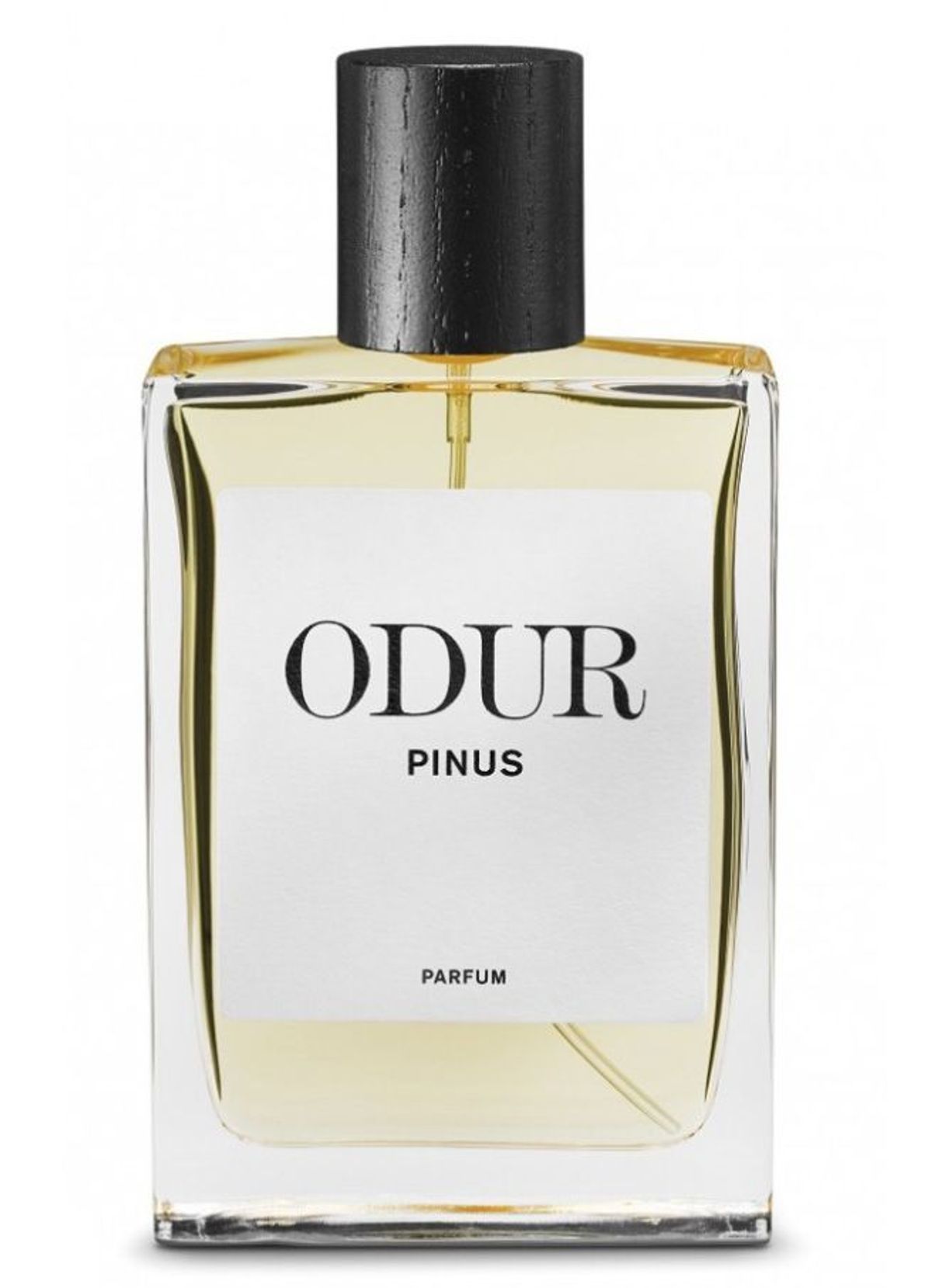 Pinus