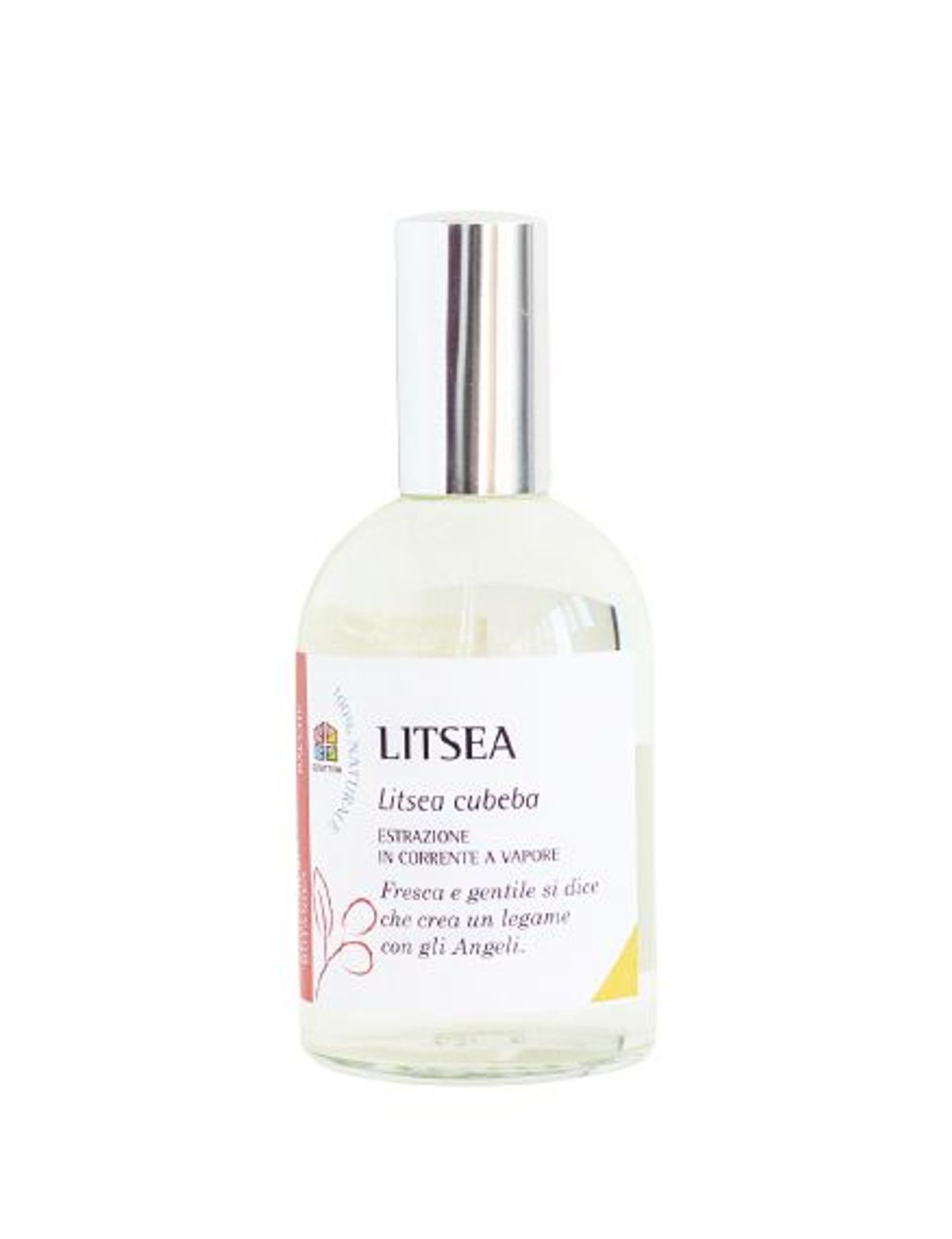Litsea