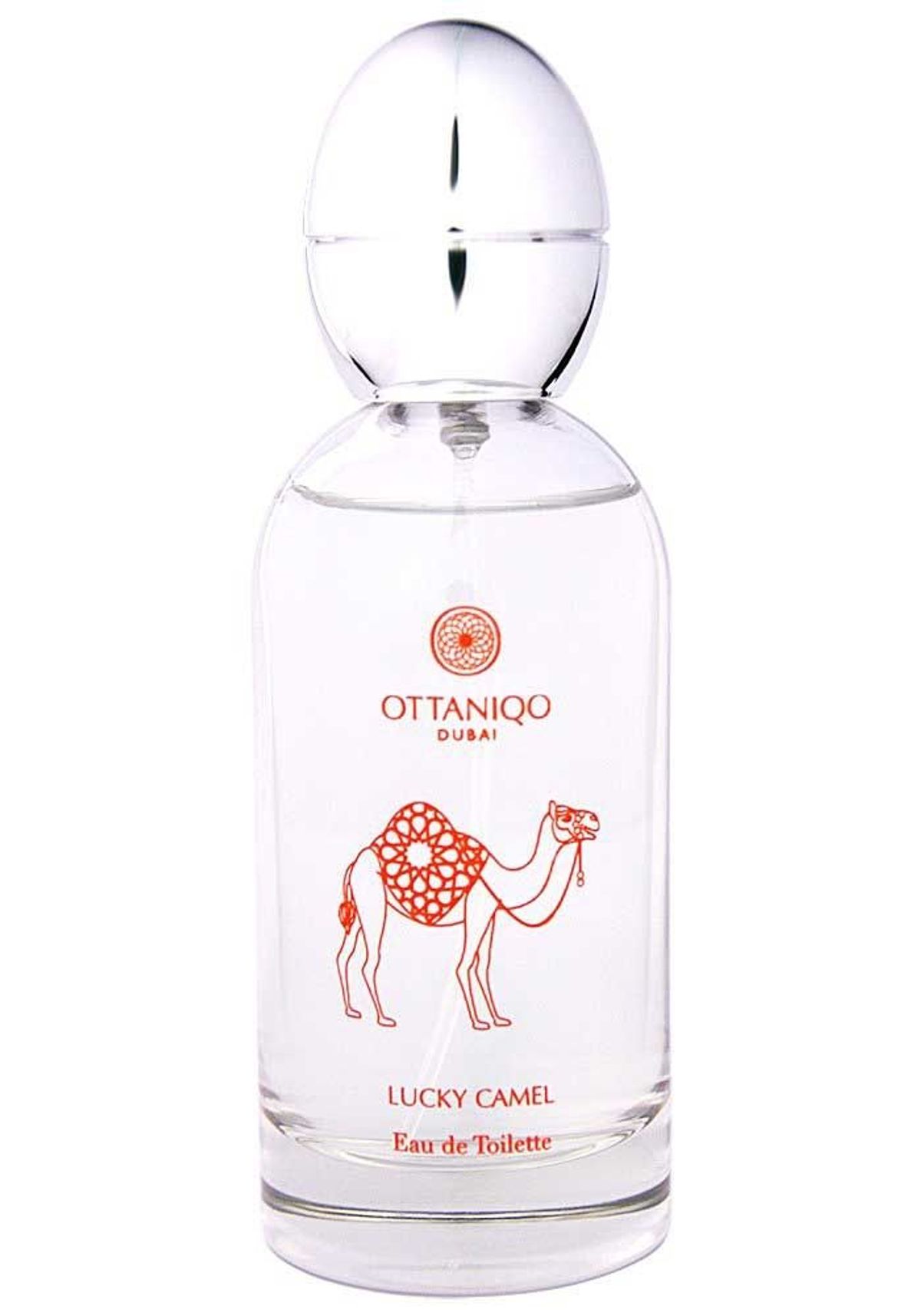 Lucky Camel