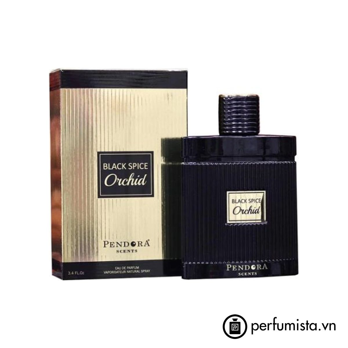 Black Spice Orchid Pendora