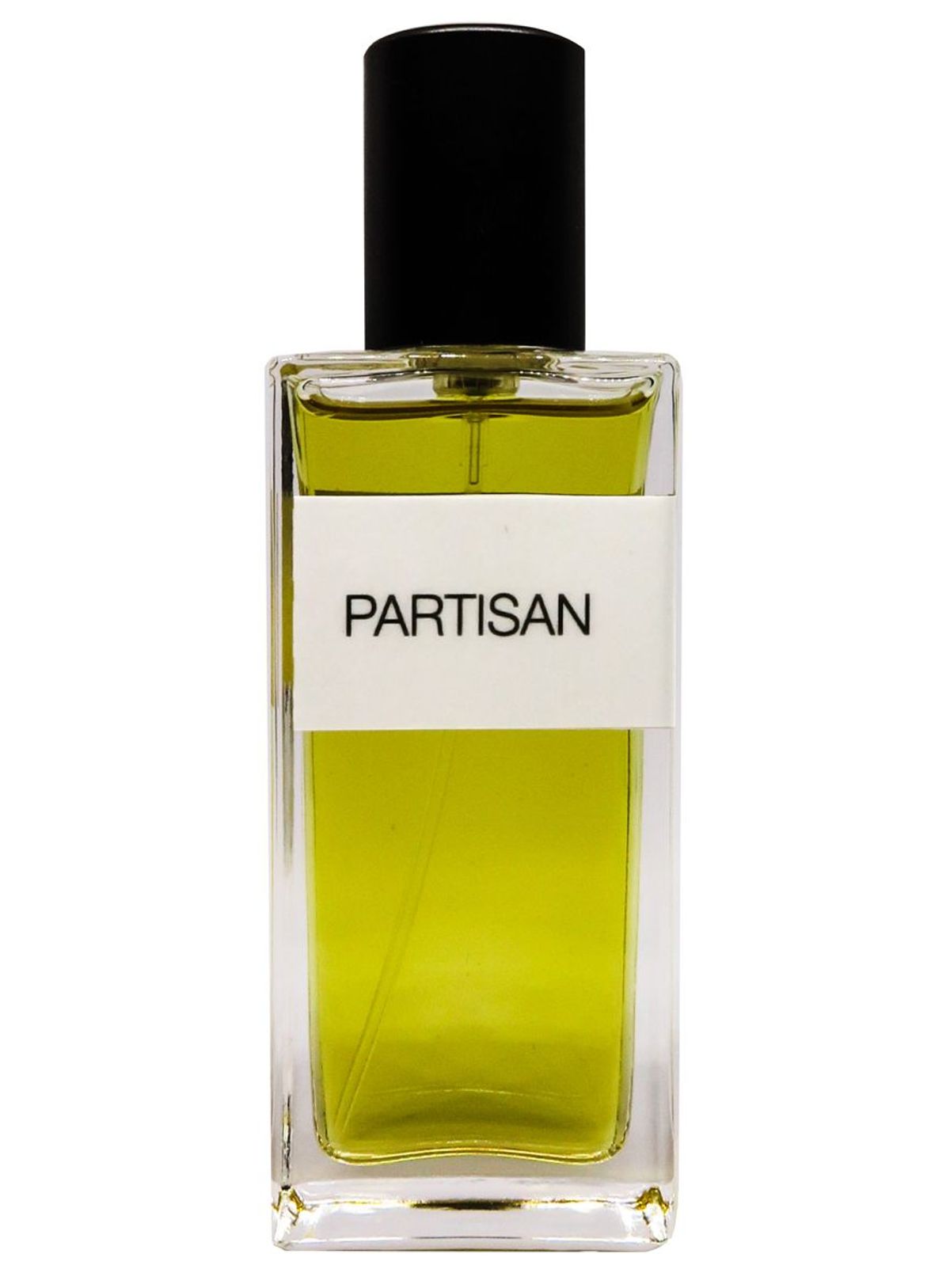 Partisan