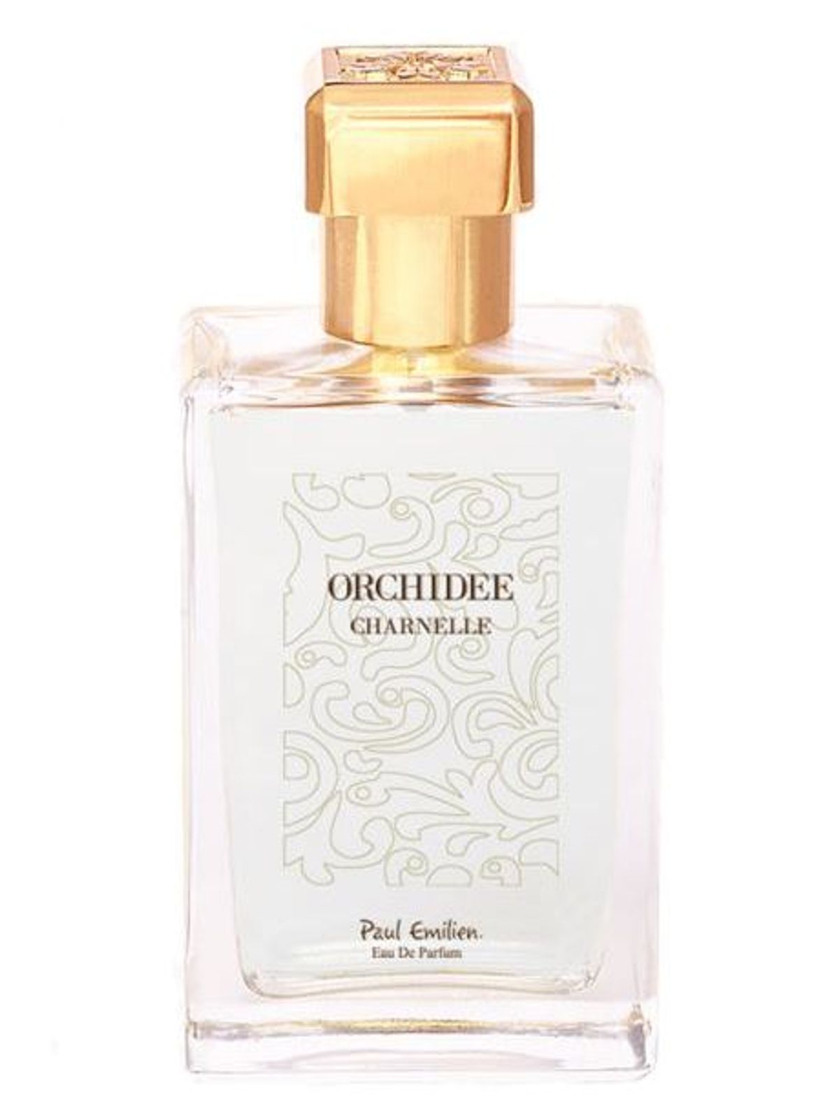 Orchidée Charnelle