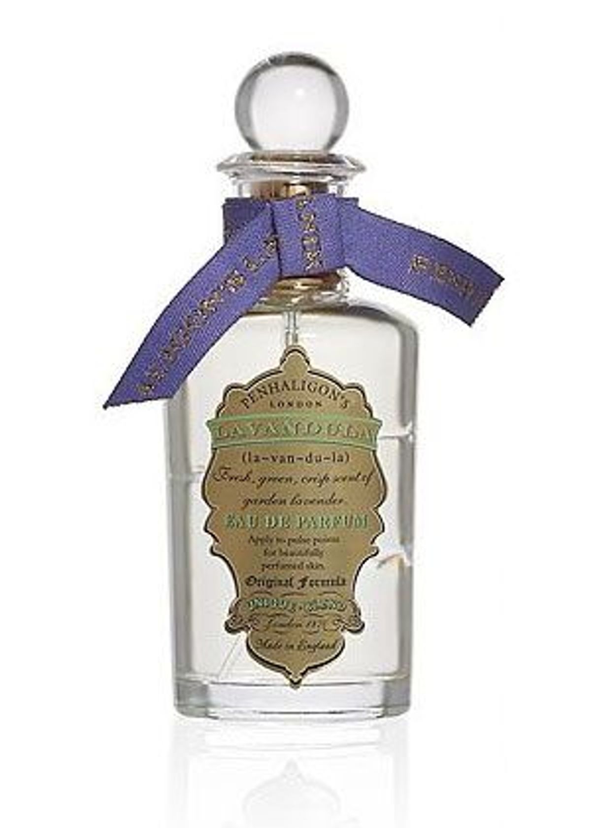 Lavandula