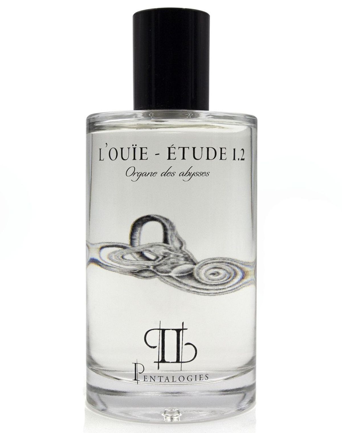 Etude 1.2: L’Ouïe