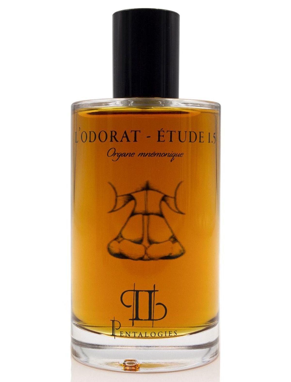 Etude 1.5: L’Odorat