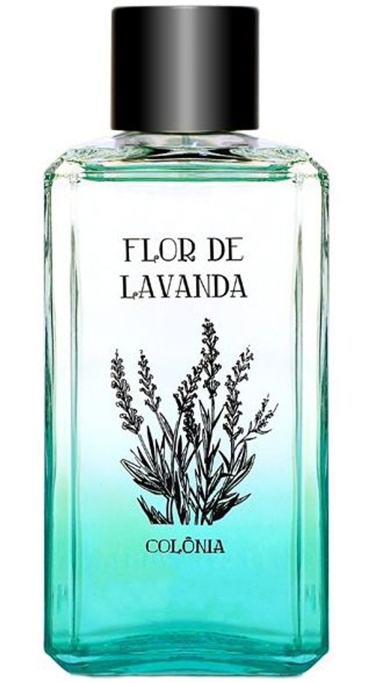 Flor de Lavanda