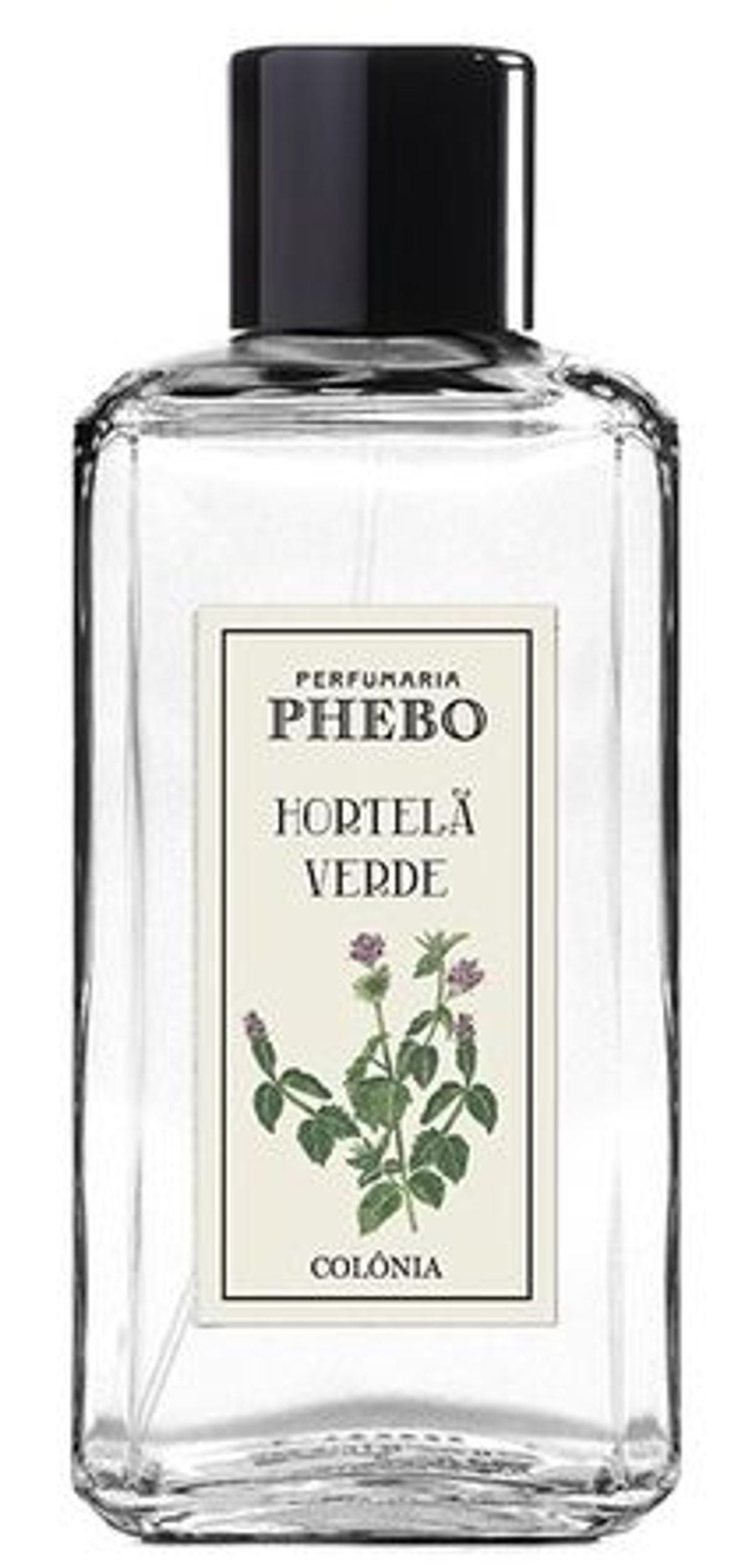 Hortelã Verde