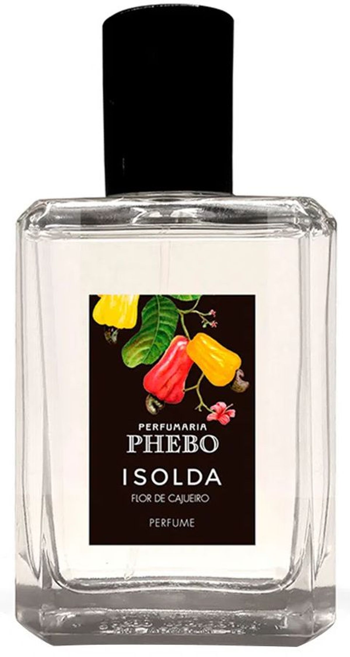 Isolda Flor de Cajueiro