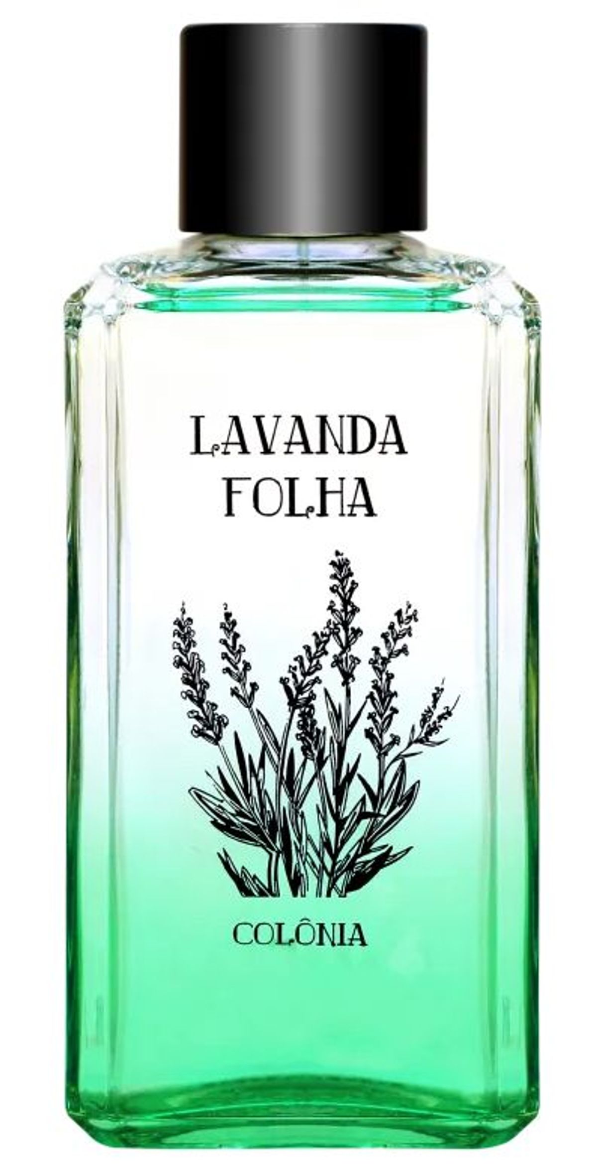 Lavanda Folha