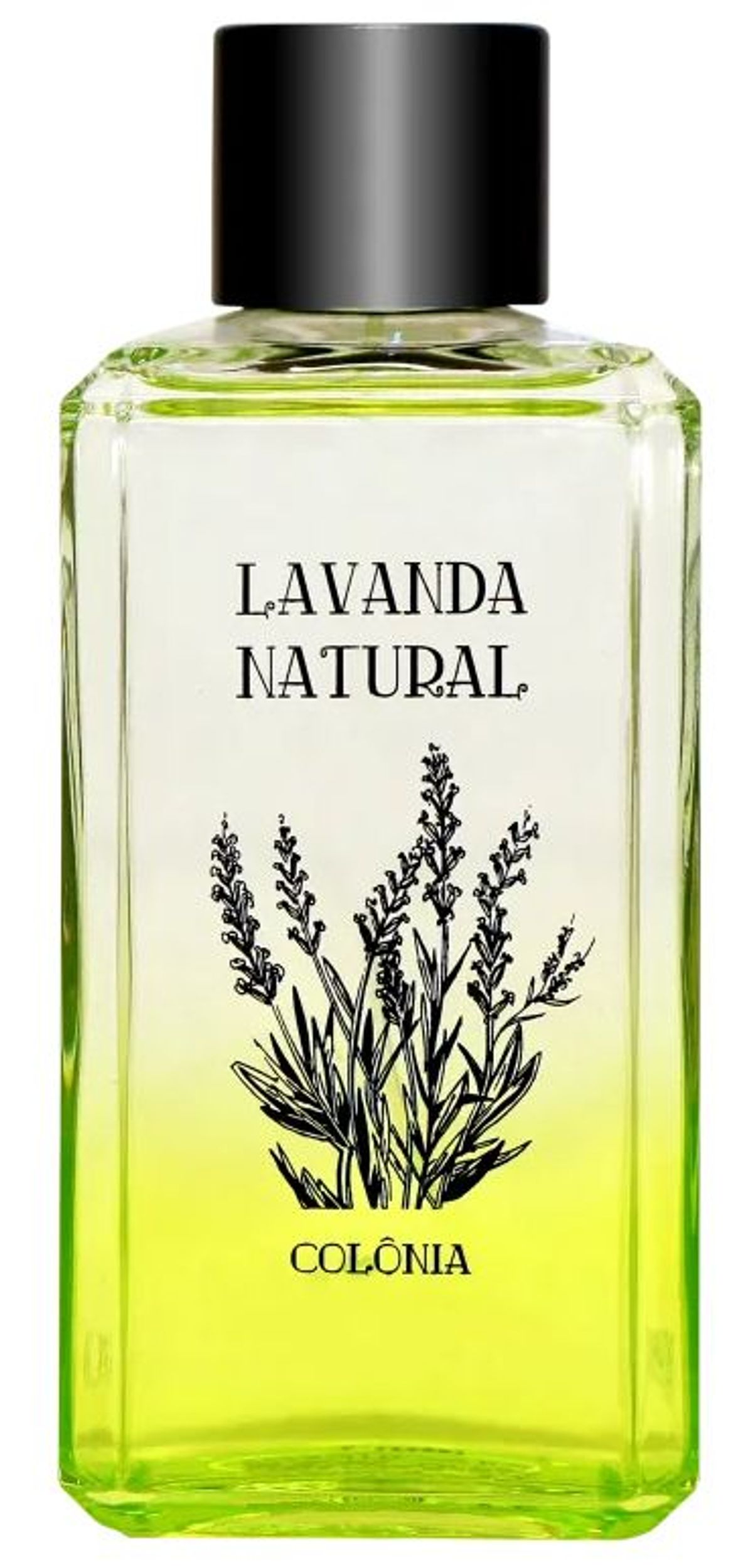 Lavanda Natural
