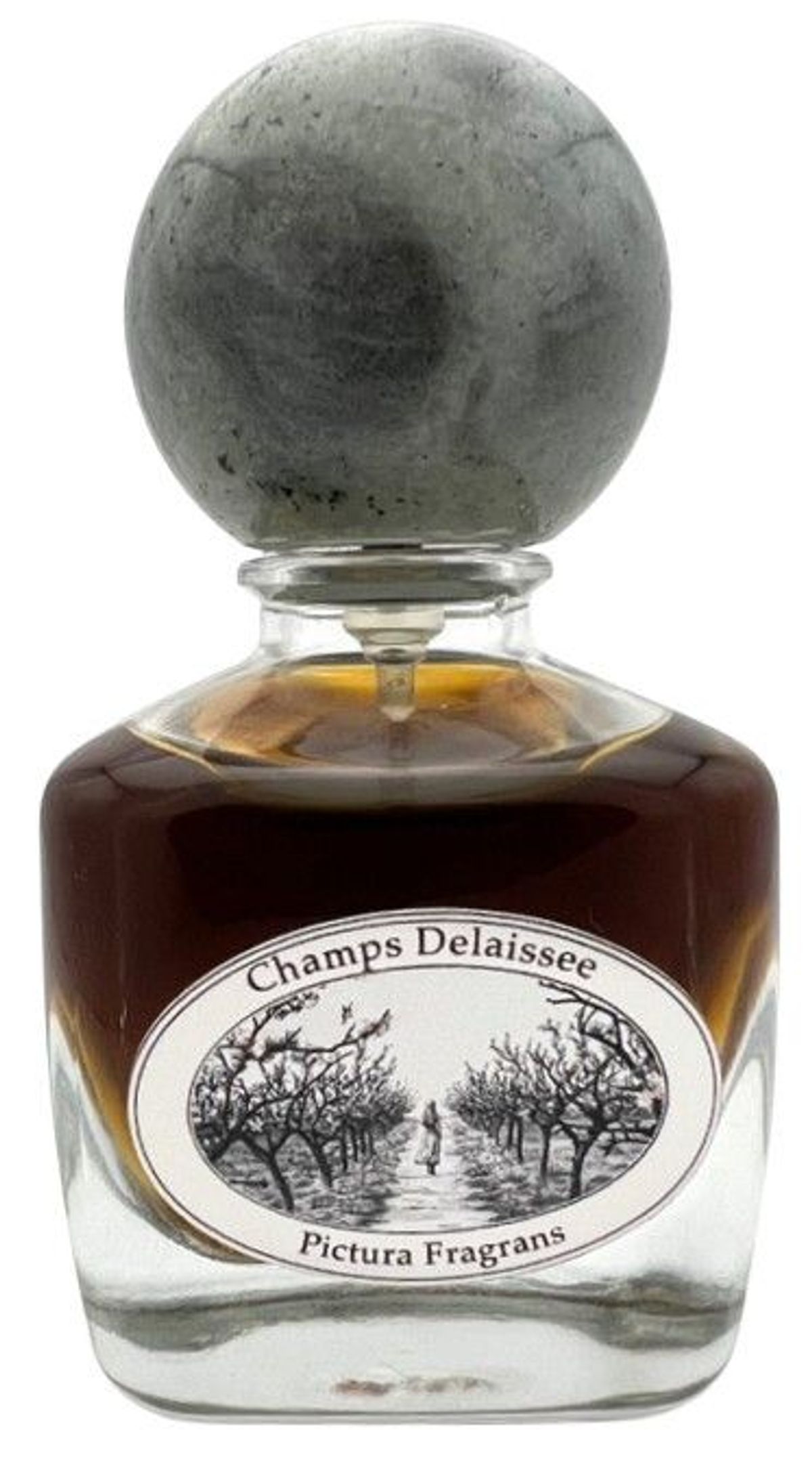 Champs Délaissée