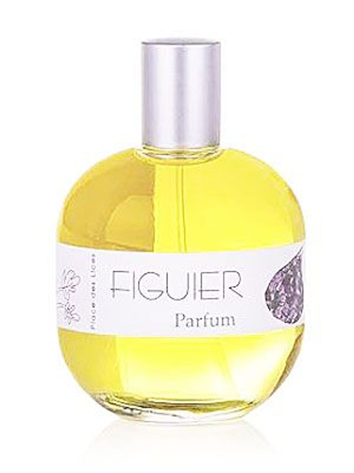 Figuier