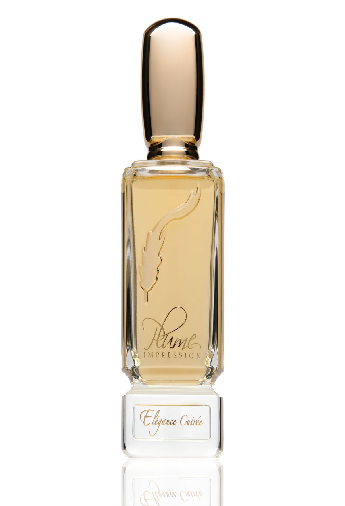 Elegance Cuiree