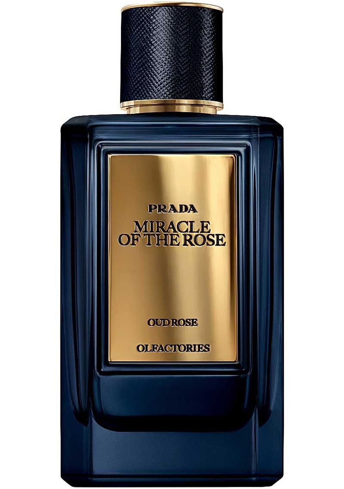 Mirages Miracle of the Rose