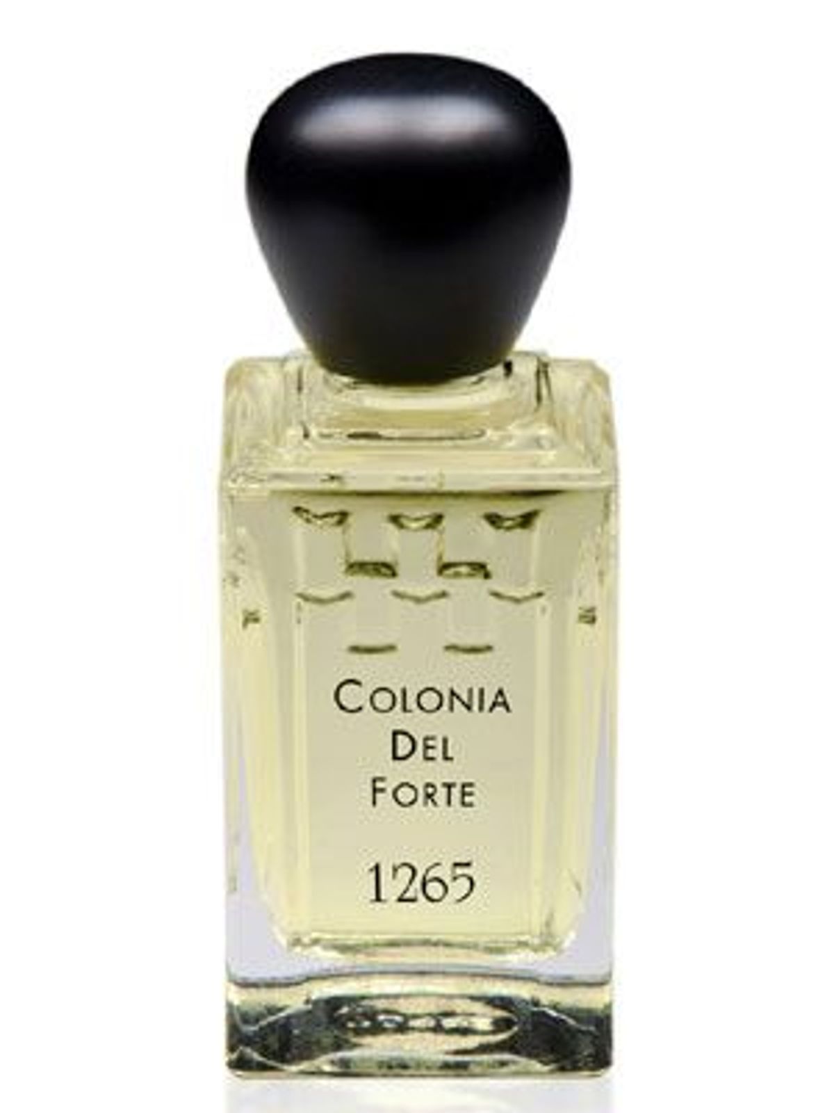 Colonia del Forte 1265