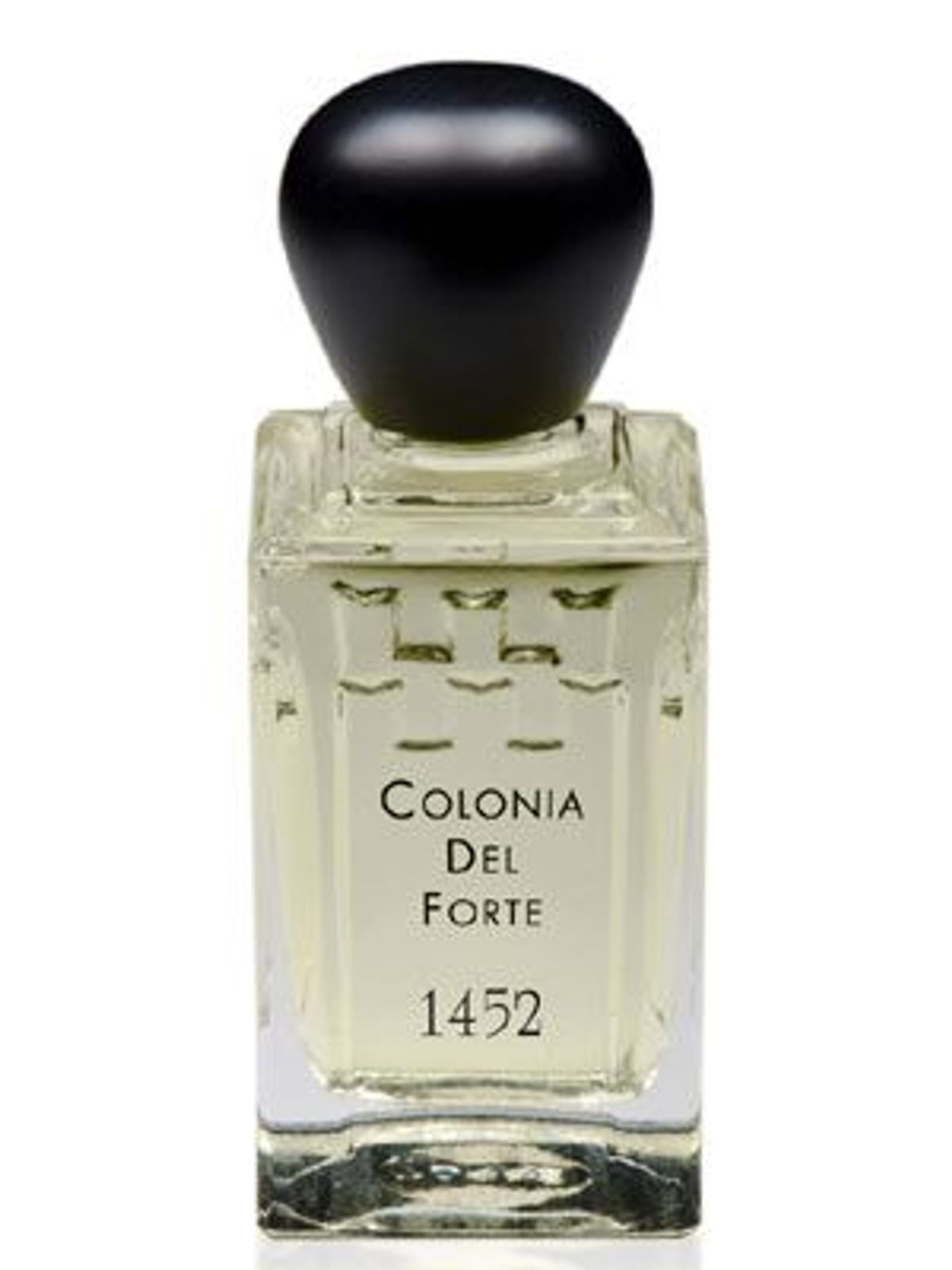 Colonia del Forte 1452