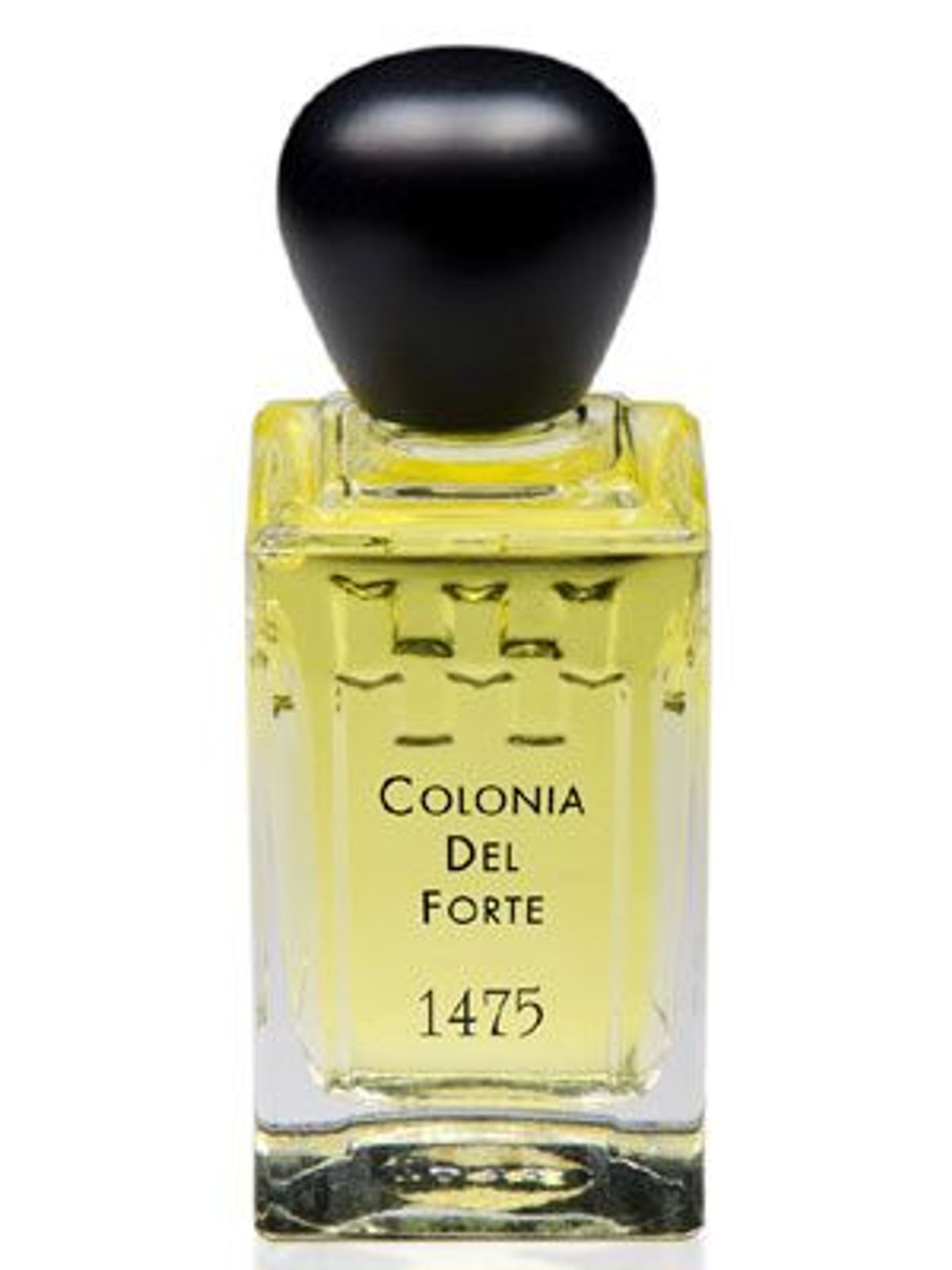 Colonia del Forte 1475