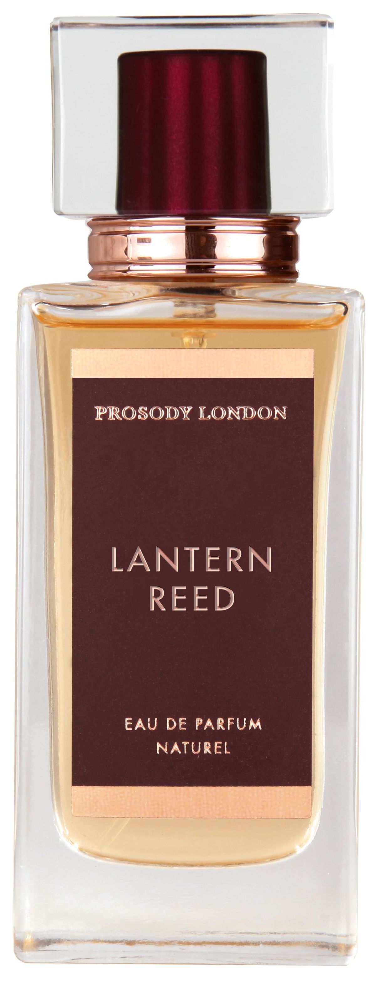 Lantern Reed