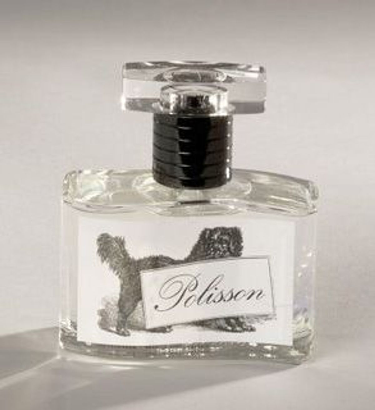 Polisson