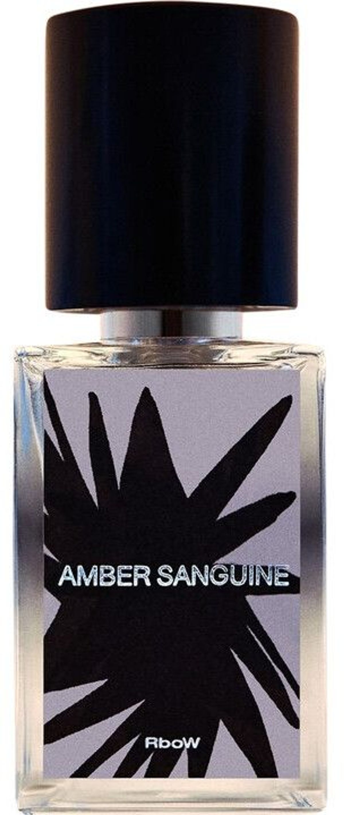 Case Study #23 Amber Sanguine